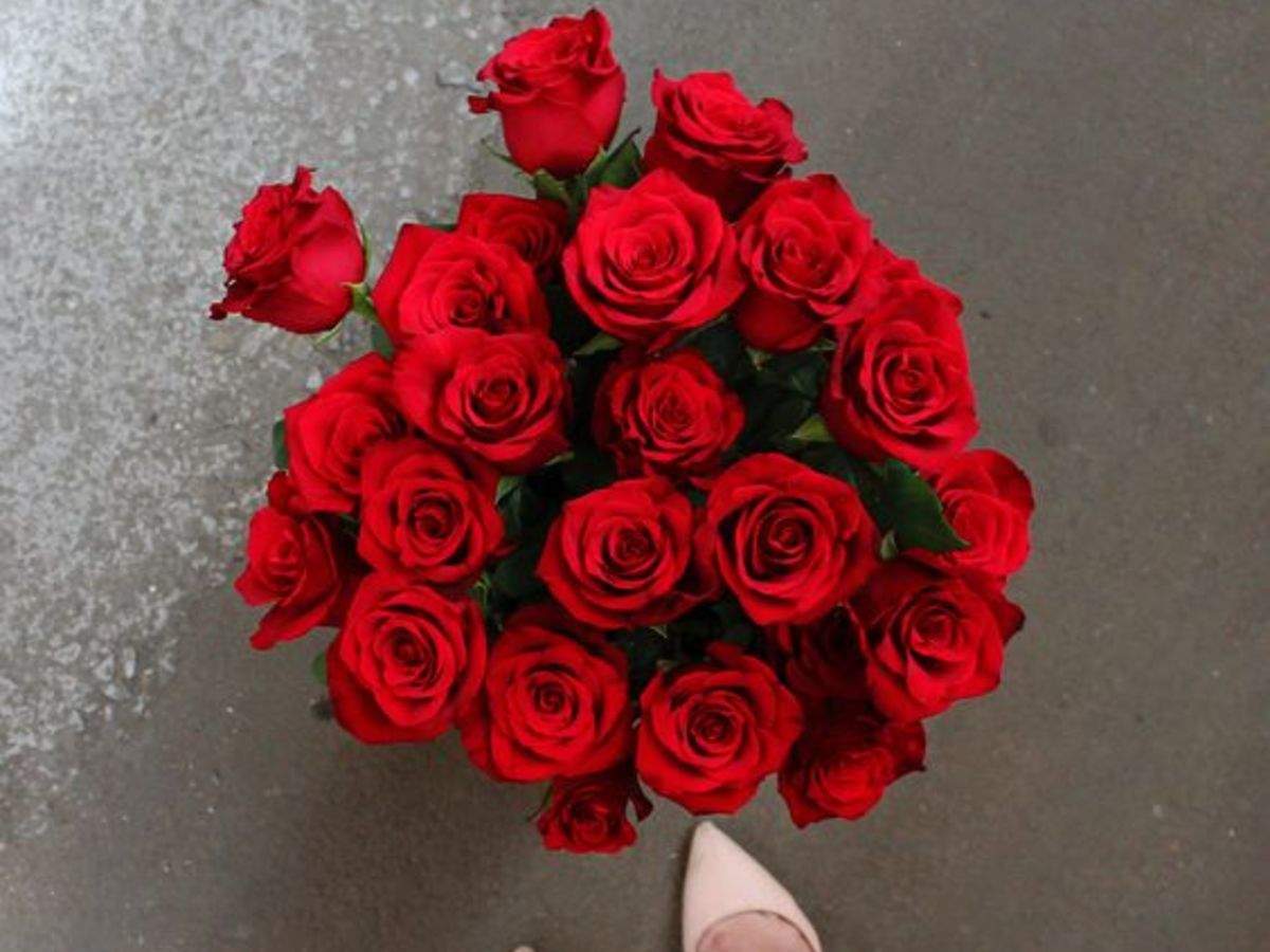 1200x900 Happy Rose Day 2021: Wishes, Messages, Quotes, Image, Picture, Facebook & WhatsApp status of India