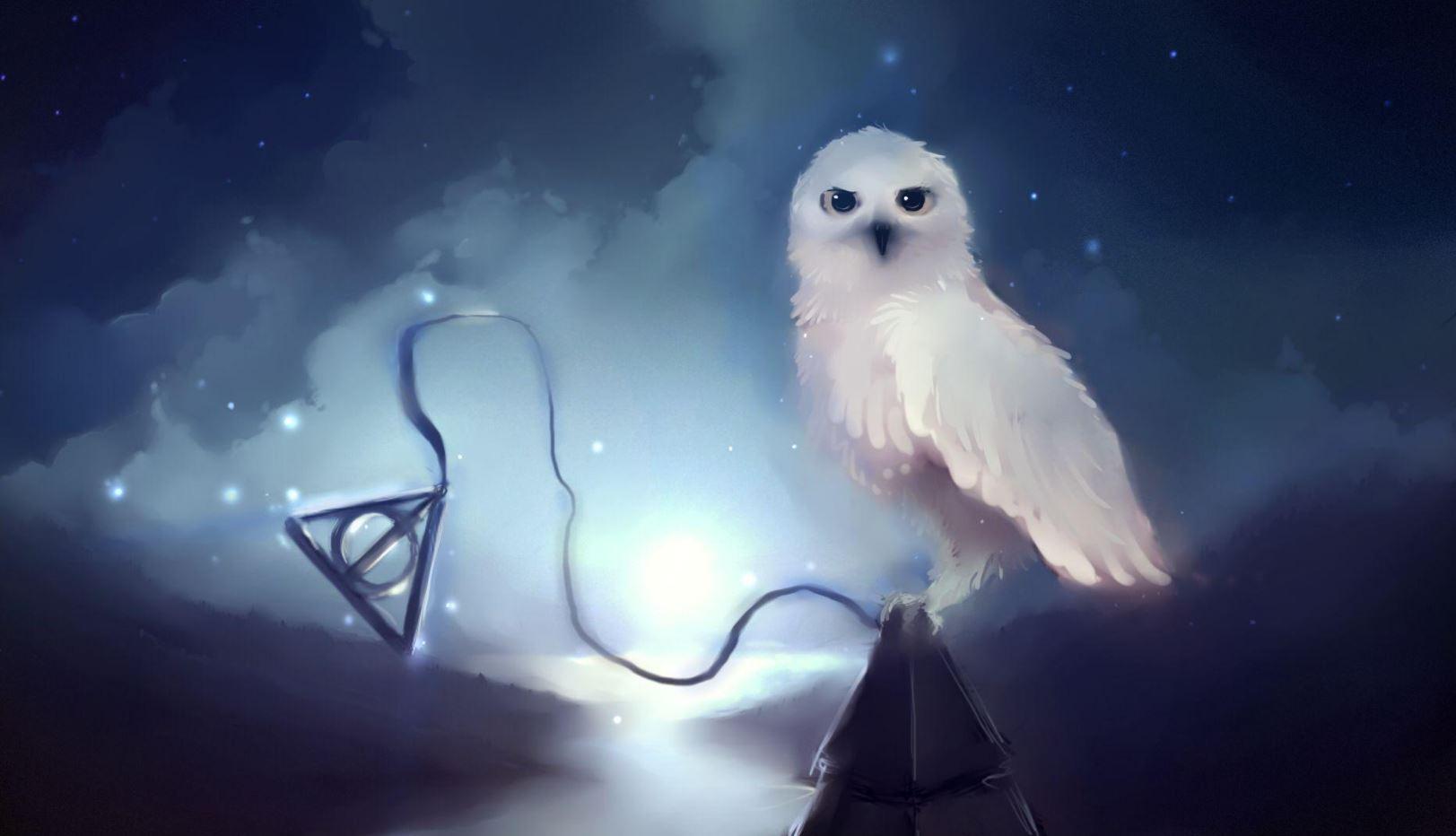 1623x932 Harry Potter Best Wallpaper That Look Amazing