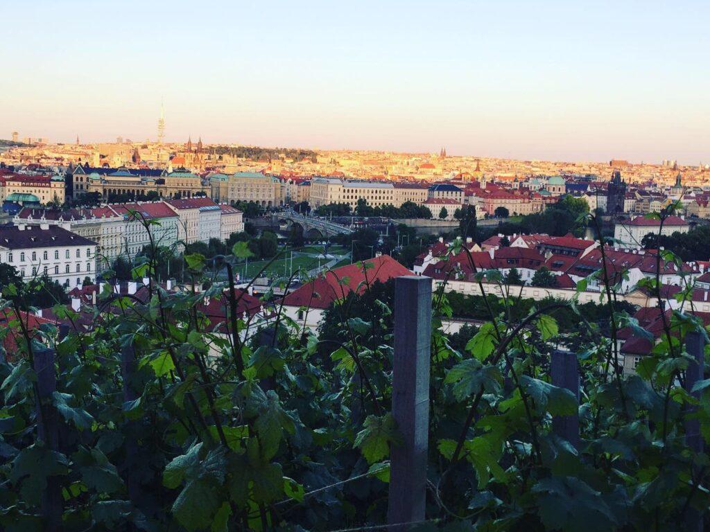 1024x768 Rowing for ETH Zurich in Prague