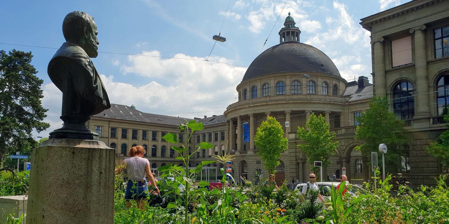 1564x782 Gardens and outdoor spaces. ETH Zurich_365体育直播_365体育投注-竞猜网投