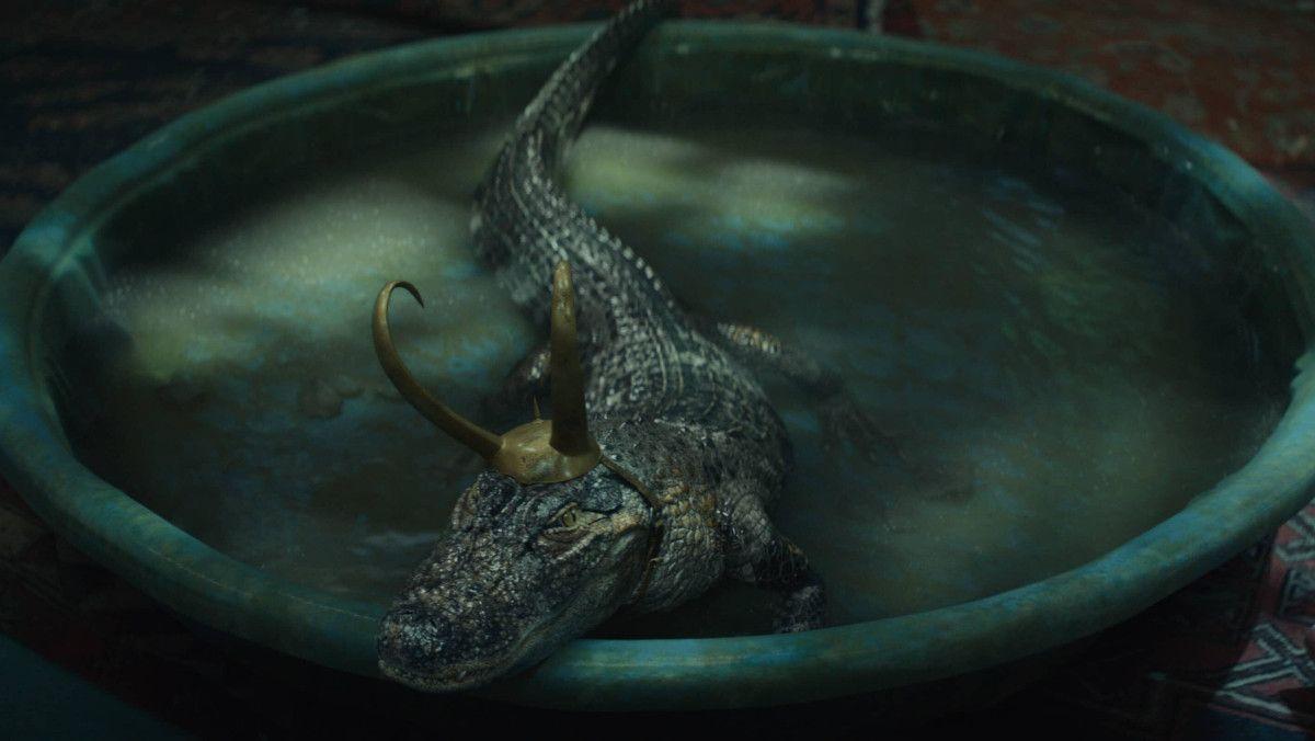 1200x676 Alligator Loki Wallpaper