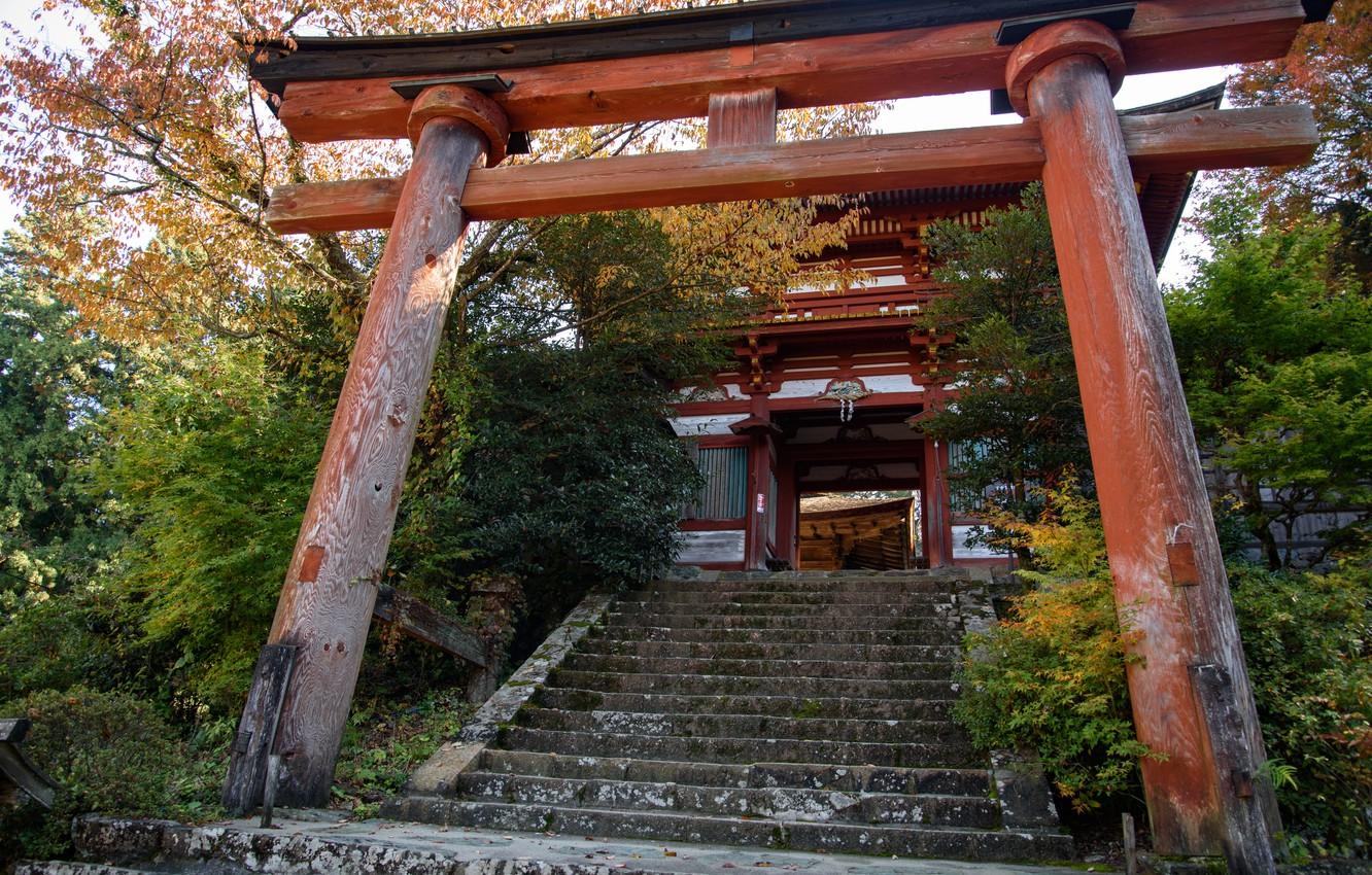 1332x850 Wallpaper Nature, Japan, Ladder, Gate, Temple, Torii image for desktop, section природа