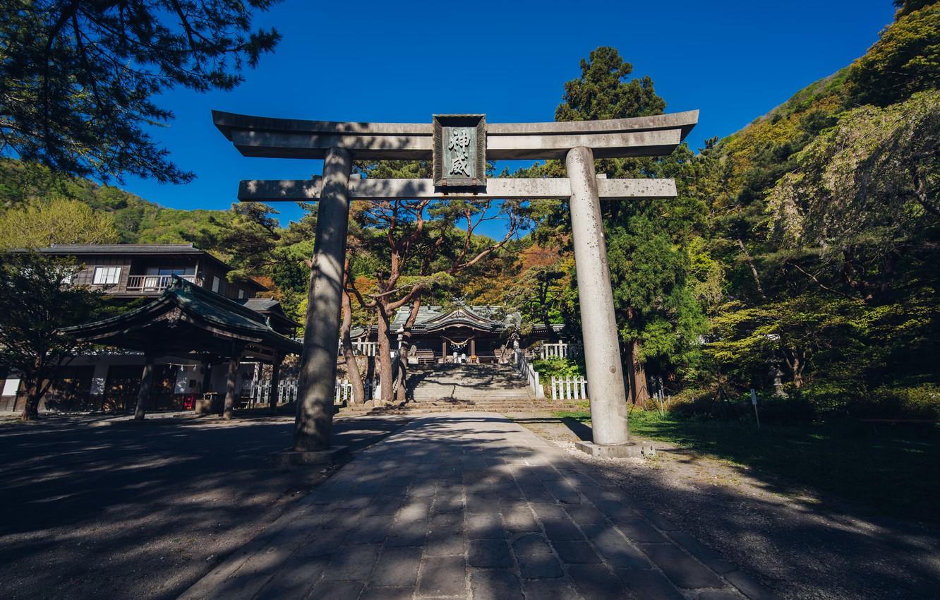 1332x850 Wallpaper Road, Japan, Ladder, Temple, Torii image for desktop, section разное