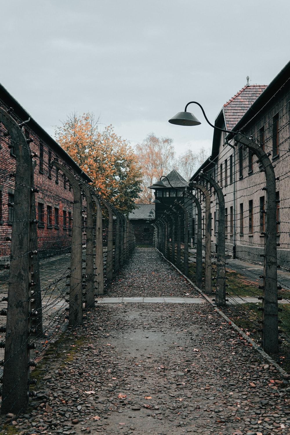 1000x1500 pathway in between of barbwire fence photo