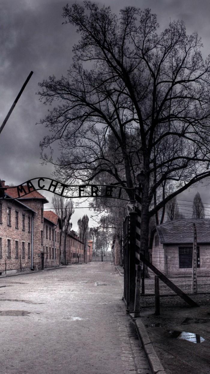 700x1245 Auschwitz Concentration Camp Arbeit Macht Frei IPhone 6 Wallpaper