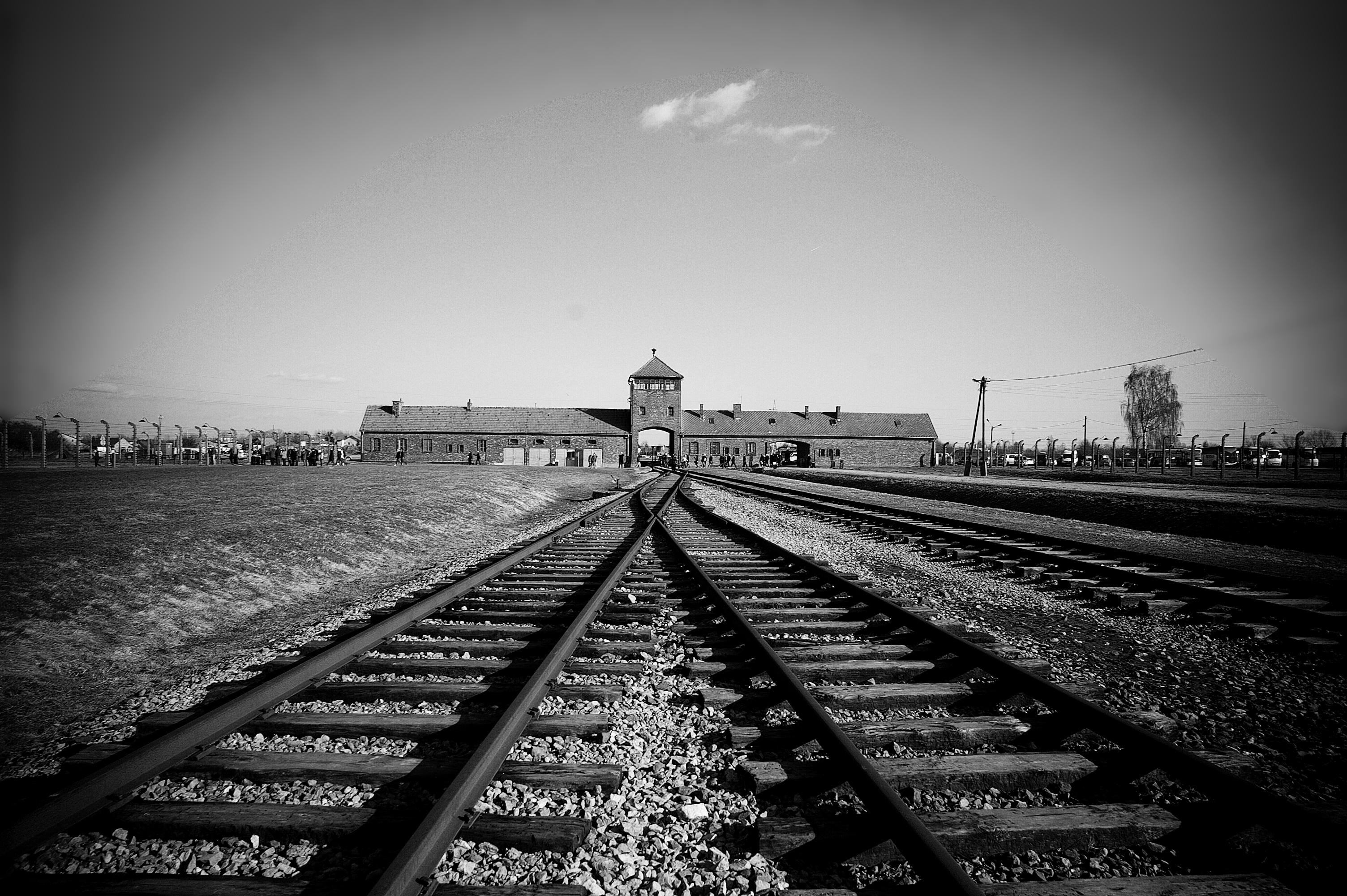 3008x2000 Holocaust Memorial Day Trust
