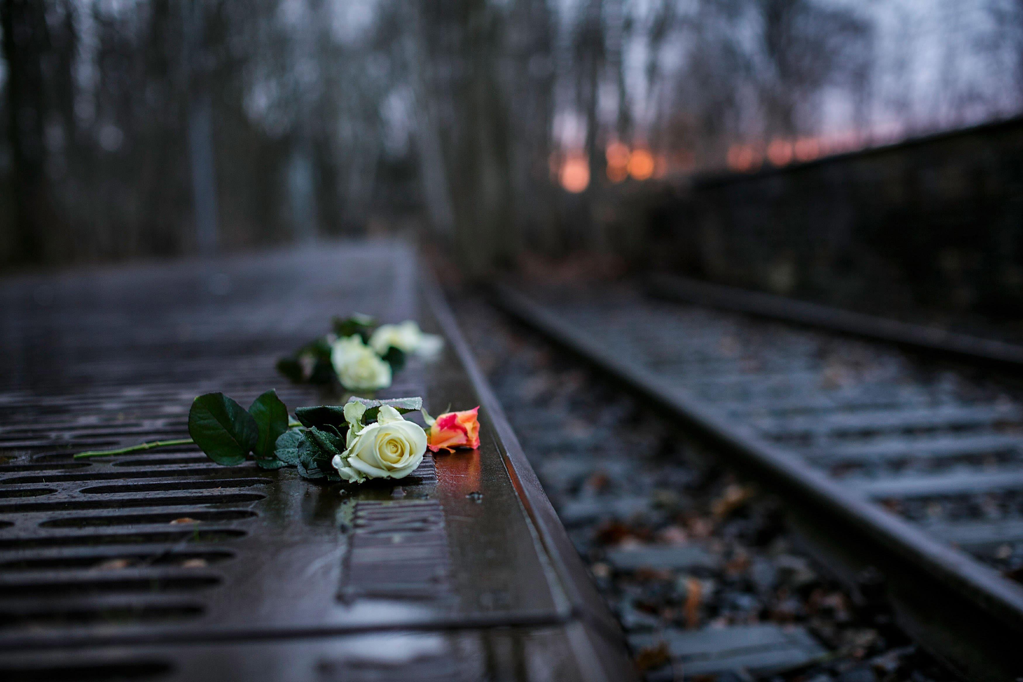 3500x2334 We Cannot Forget': Survivors Return to Auschwitz on Liberation Anniversary