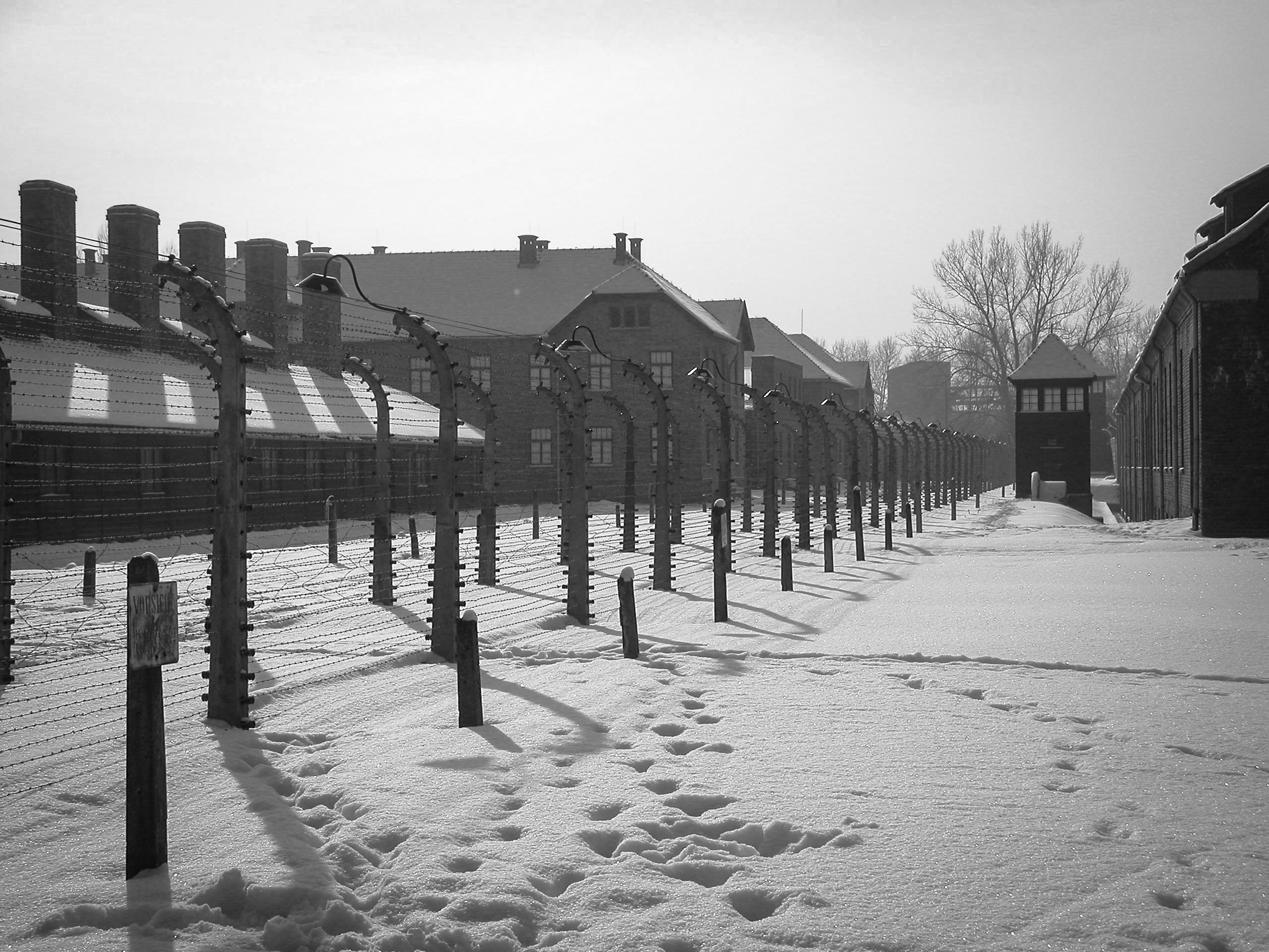 6250x4688 Krakow to Auschwitz Tour. Day Trip Guide to Auschwitz Concentration Camp