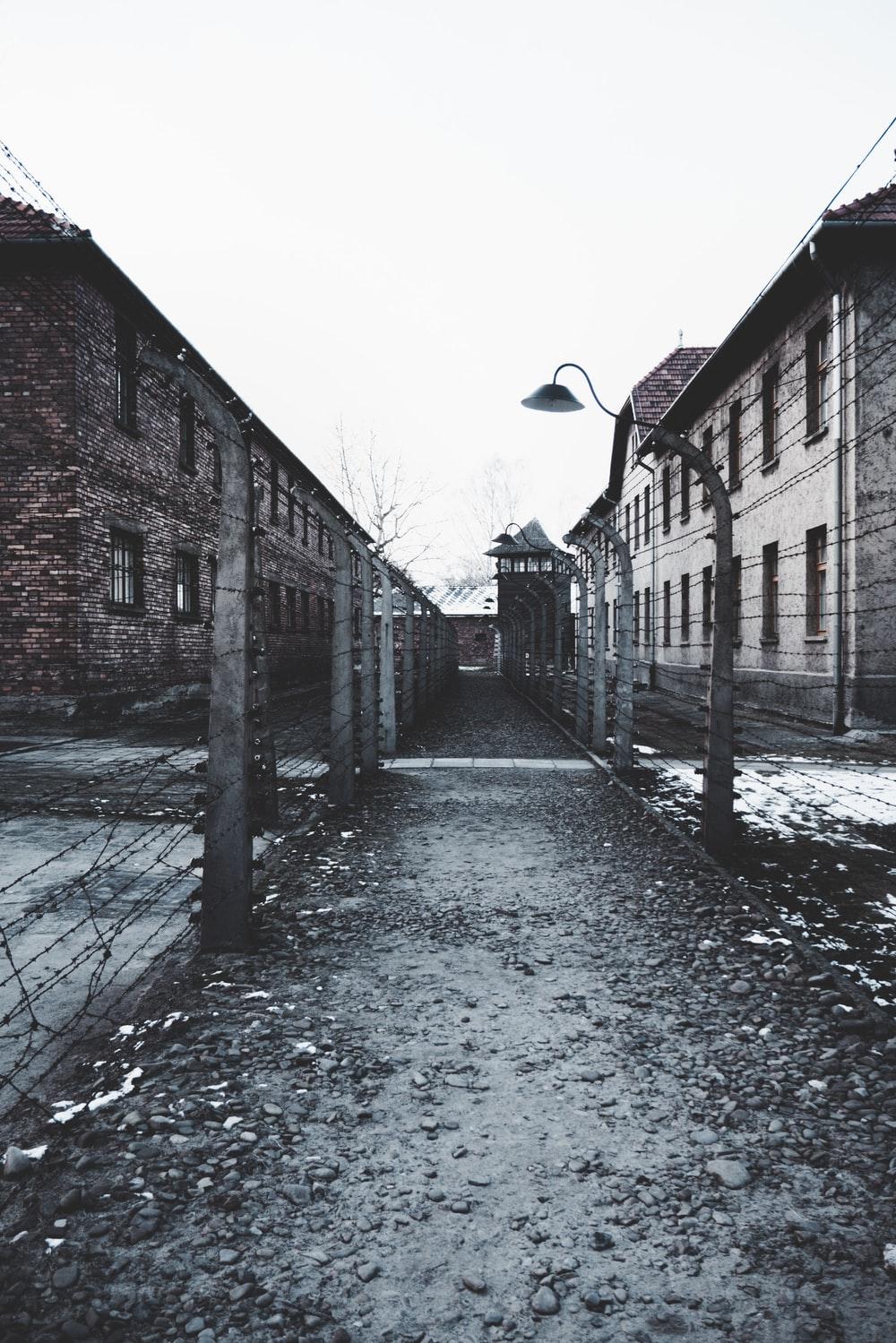 1000x1499 Auschwitz best free auschwitz, poland, grey and building photo