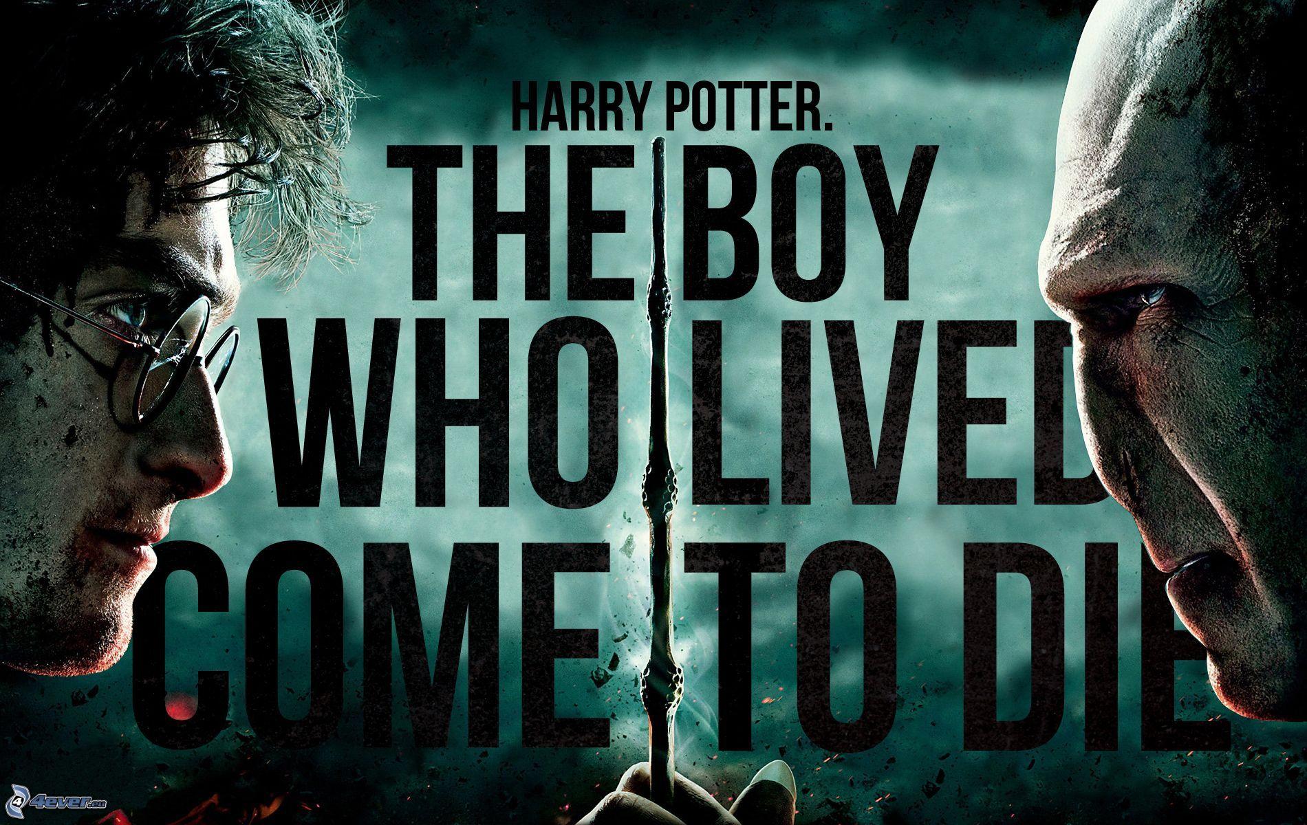 1900x1200 Harry Potter And Voldemort Wallpaper