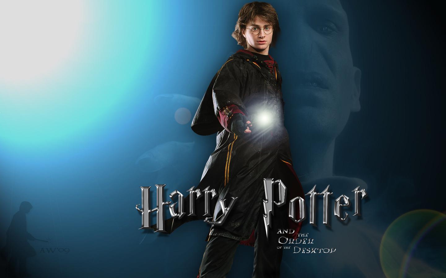 1440x900 Harry Potter and Voldemort Potter and Lord Voldemort Wallpaper