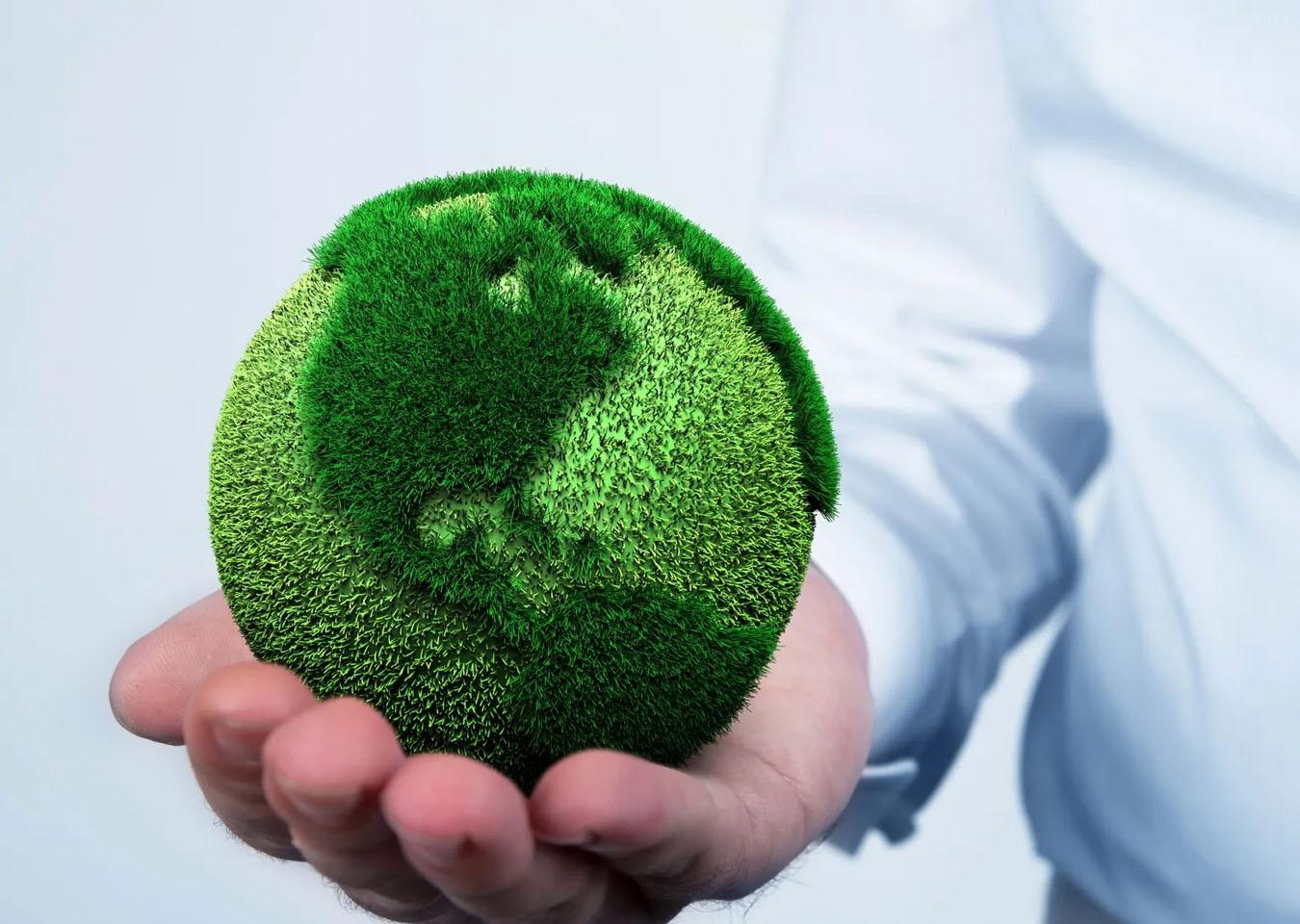 1350x960 Waste Management Services