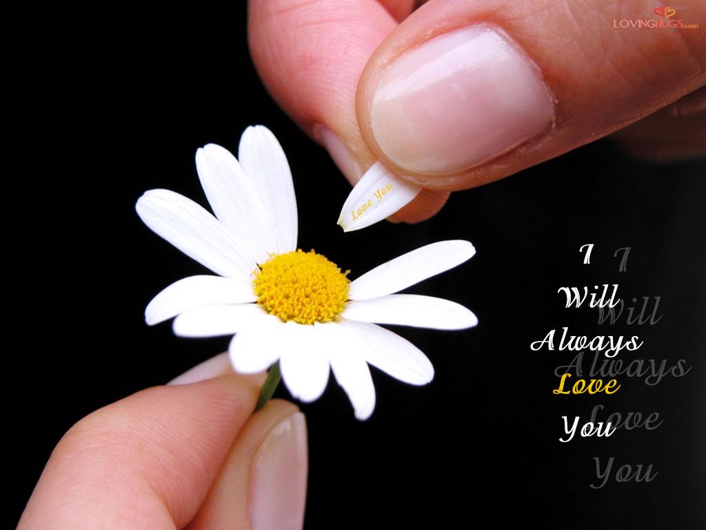 1024x768 He Loves Me He Loves Me Not Quotes. QuotesGram