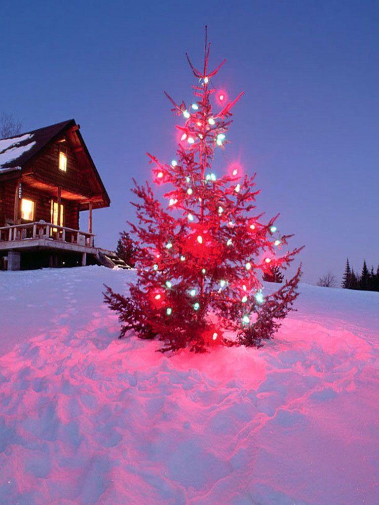 768x1024 Christmas in the country. Christmas!. Christmas