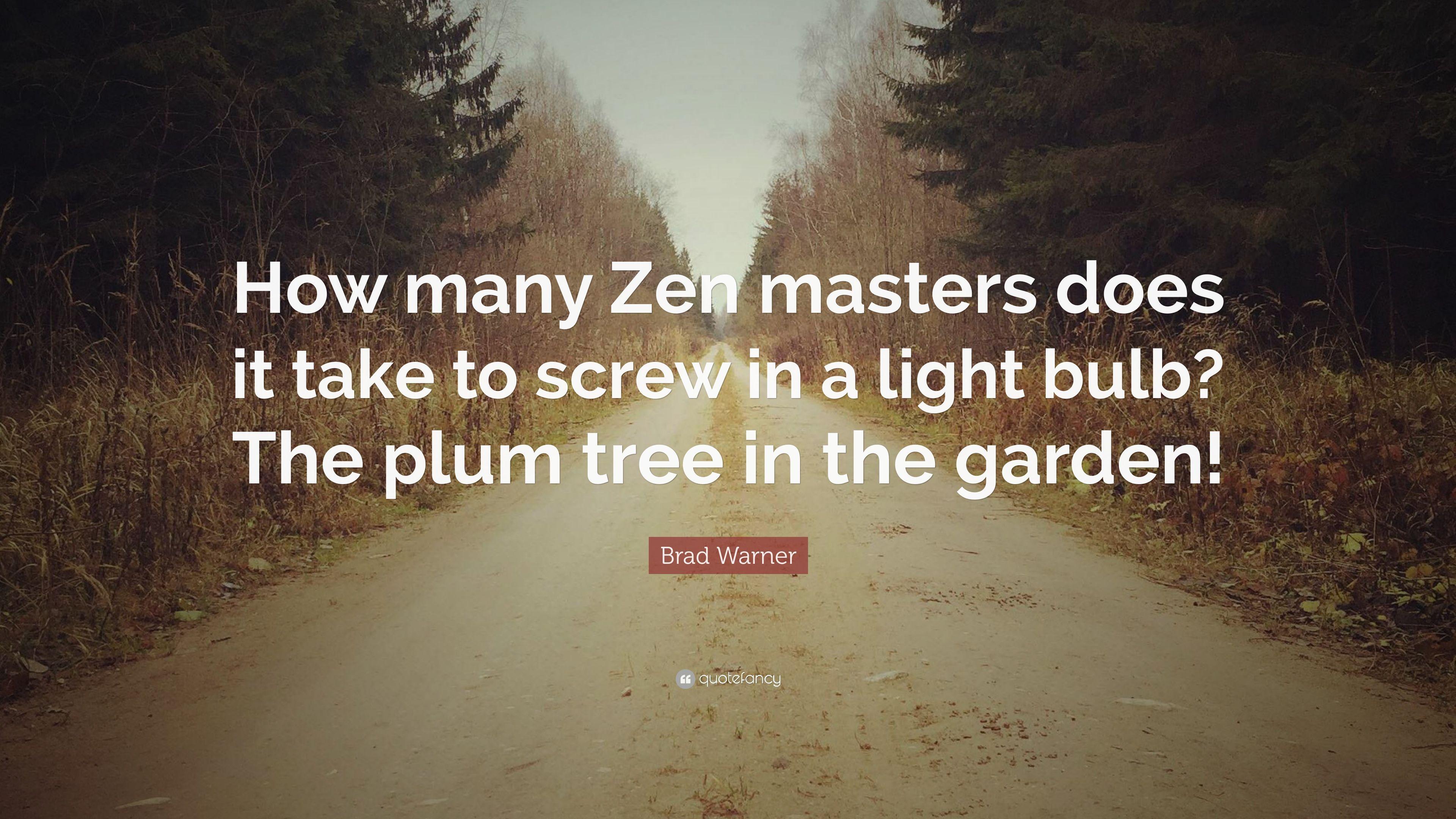 3840x2160 Brad Warner Quote: “How many Zen masters does it take to screw in a