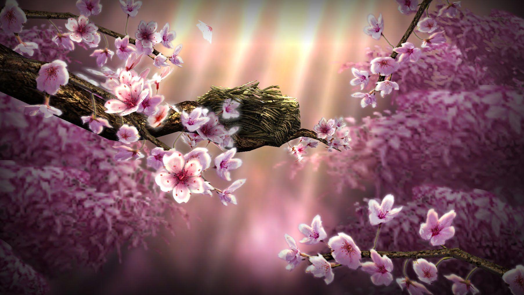 1806x1015 Zen Wallpaper HD