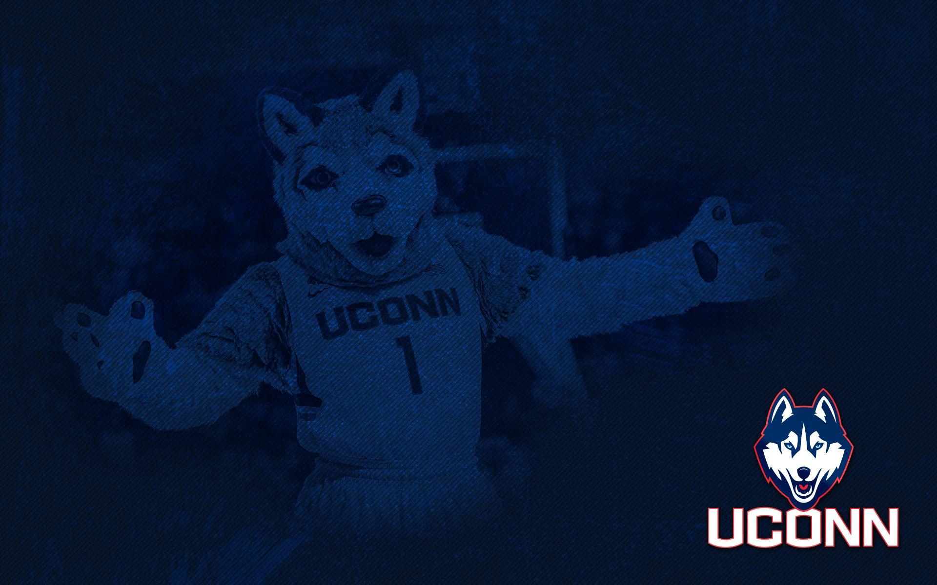1920x1200 Desktop Wallpaper of Connecticut Athletics