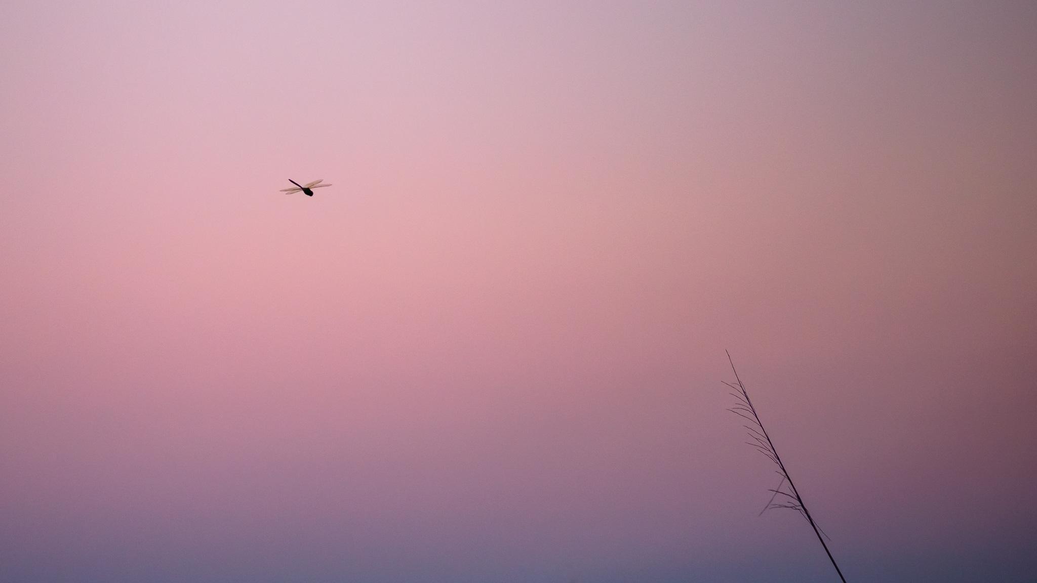 2048x1152 Positive and Negative Space in Photography