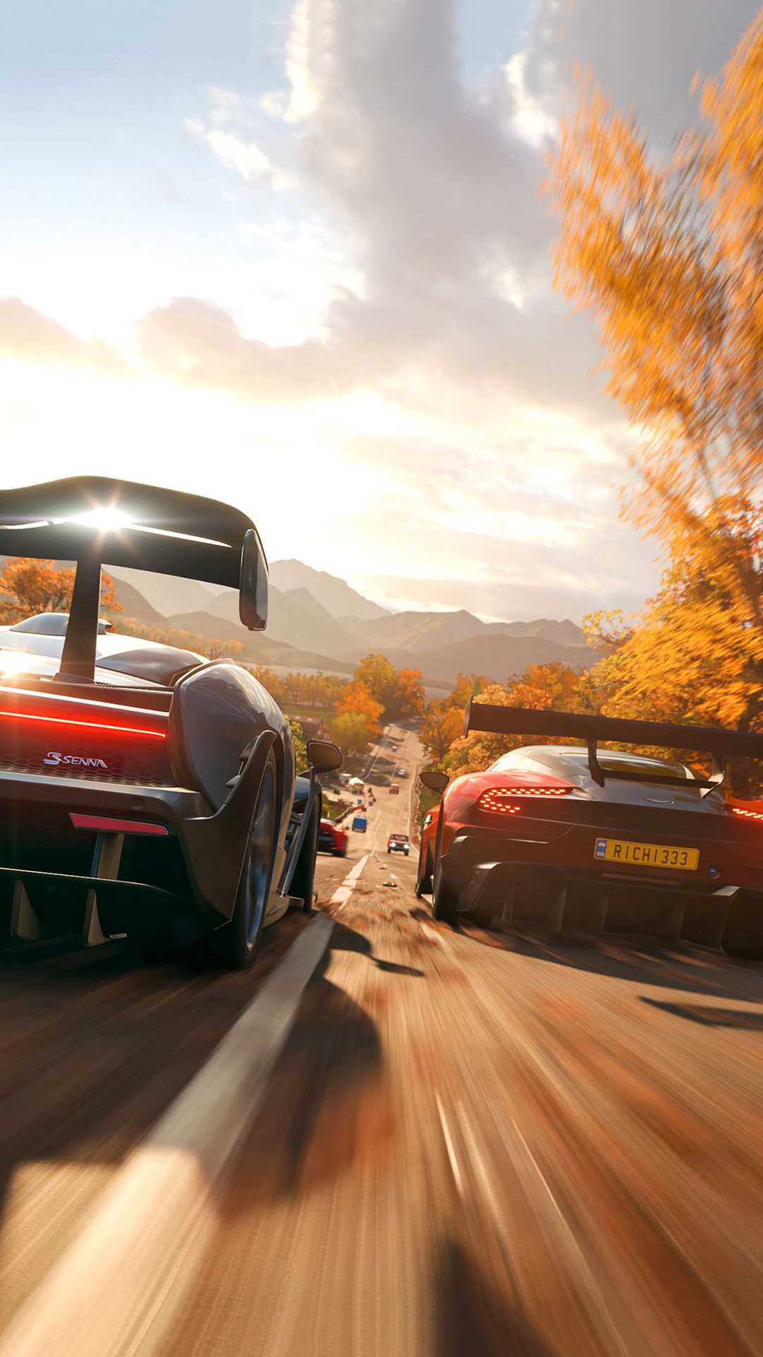 1080x1920 Forza Horizon Wallpaper
