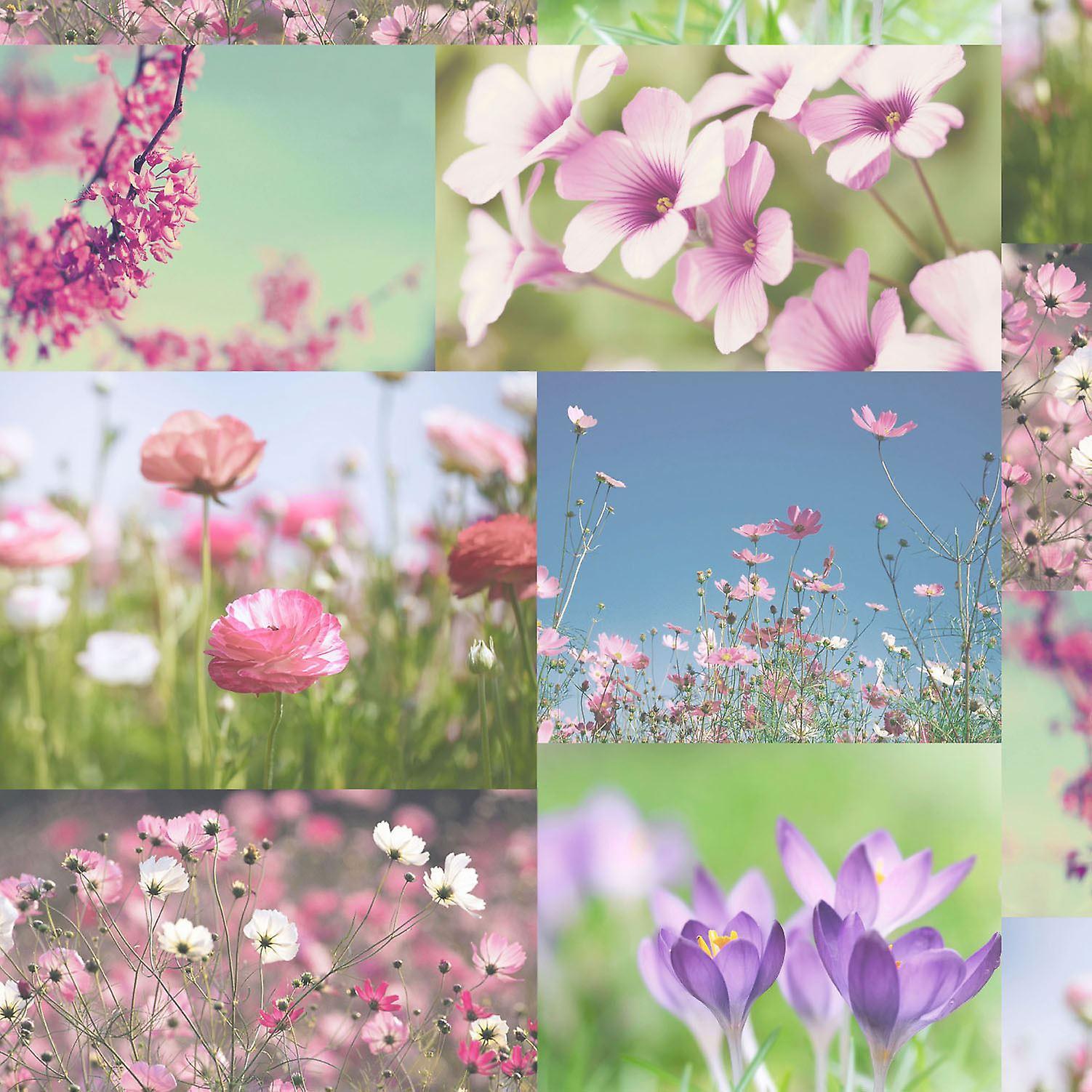 1502x1502 April Wallpaper Heather Pink Floral Flowers Collage Photo Luxury Holden