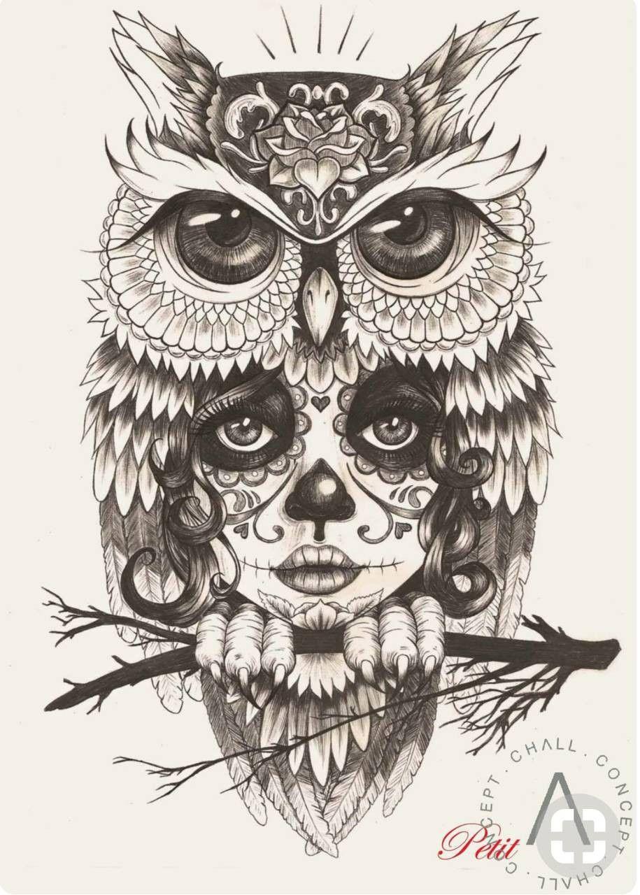915x1280 Owl Image Free New Skull Owl Wallpaper by Jokergirl29 0d Free On
