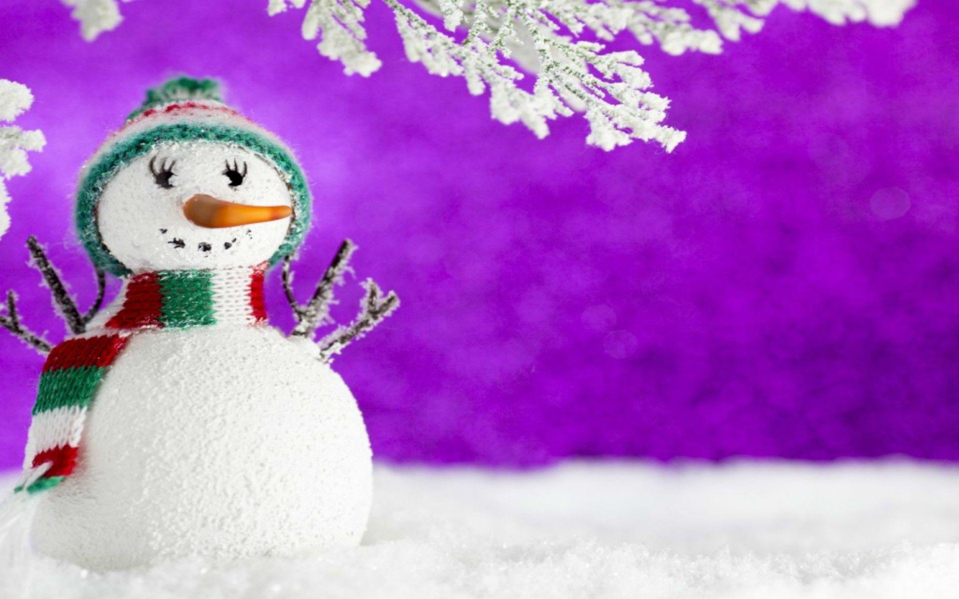 1920x1200 Christmas Penguin Wallpaper