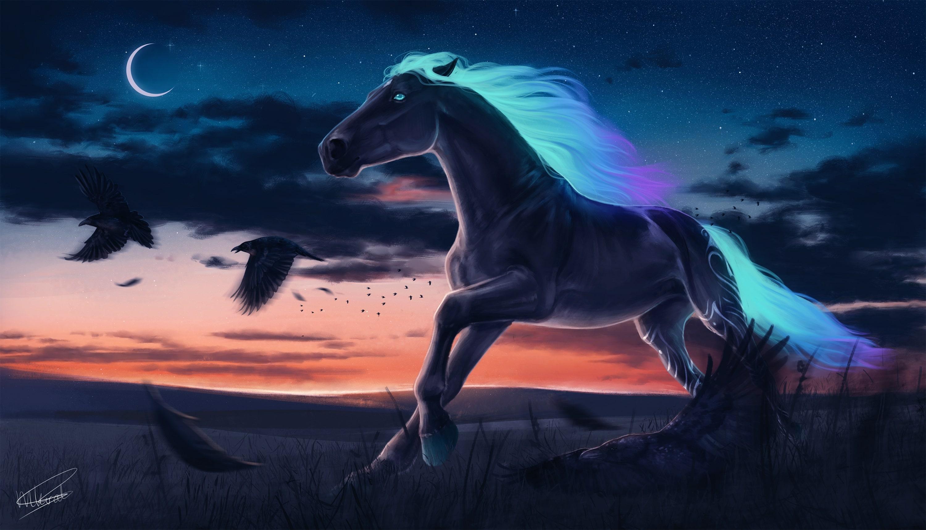 HD beautiful fantasy horse wallpapers  Peakpx