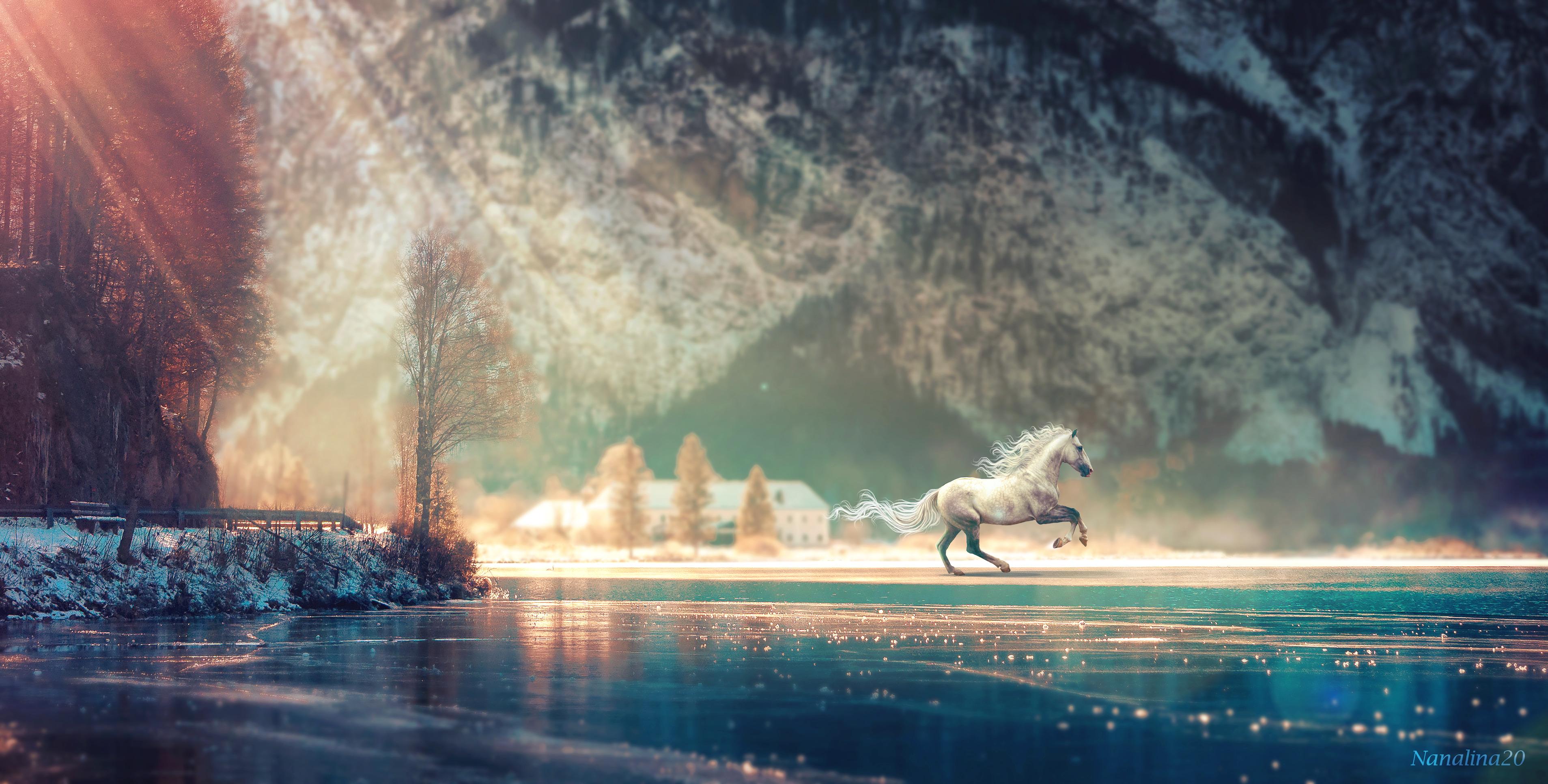 Fantasy Horse Wallpapers - Top Free Fantasy Horse Backgrounds ...