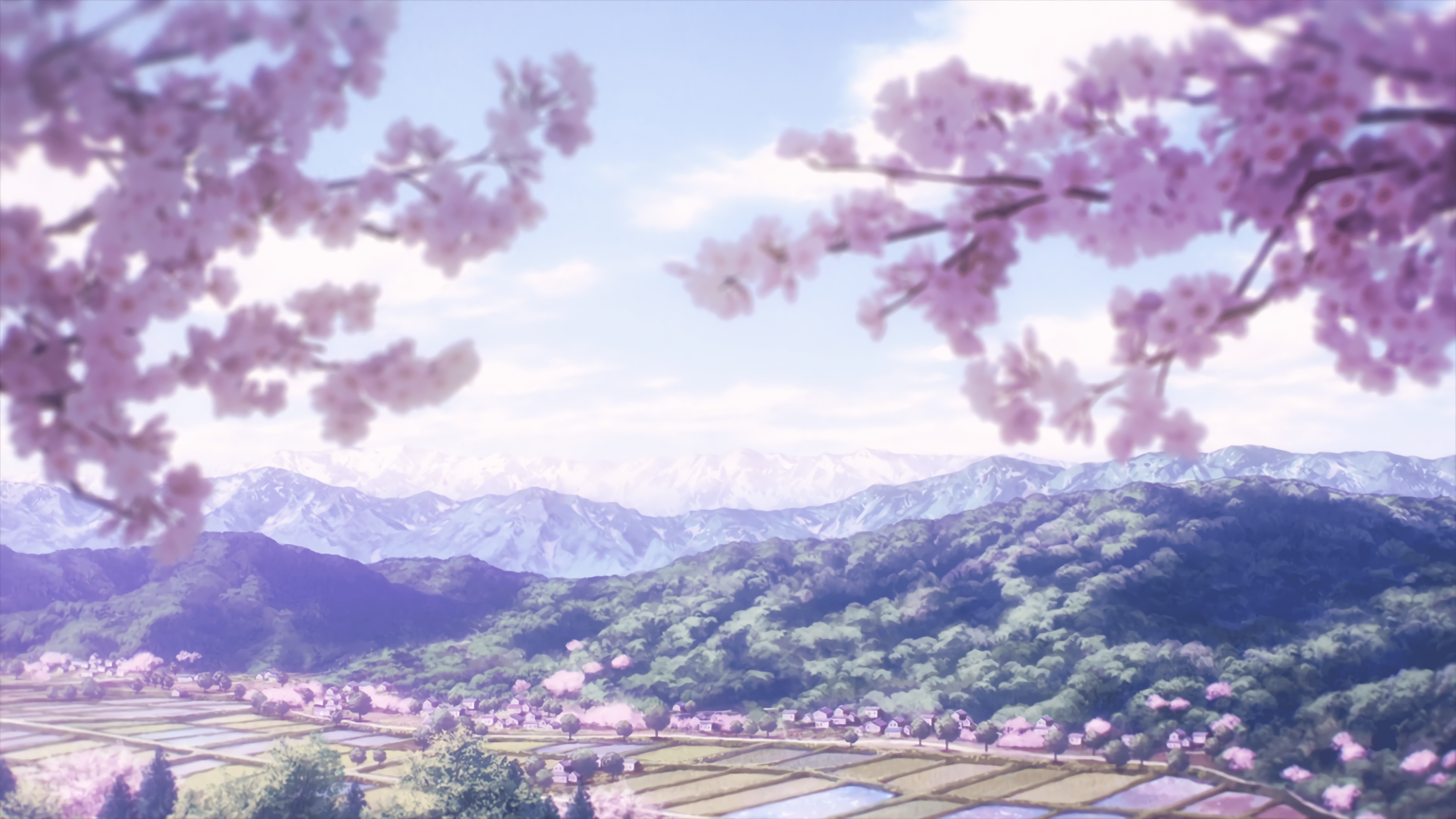 3840x2160 Akebi's Sailor Uniform Wallpaper 4K: u_Zallre