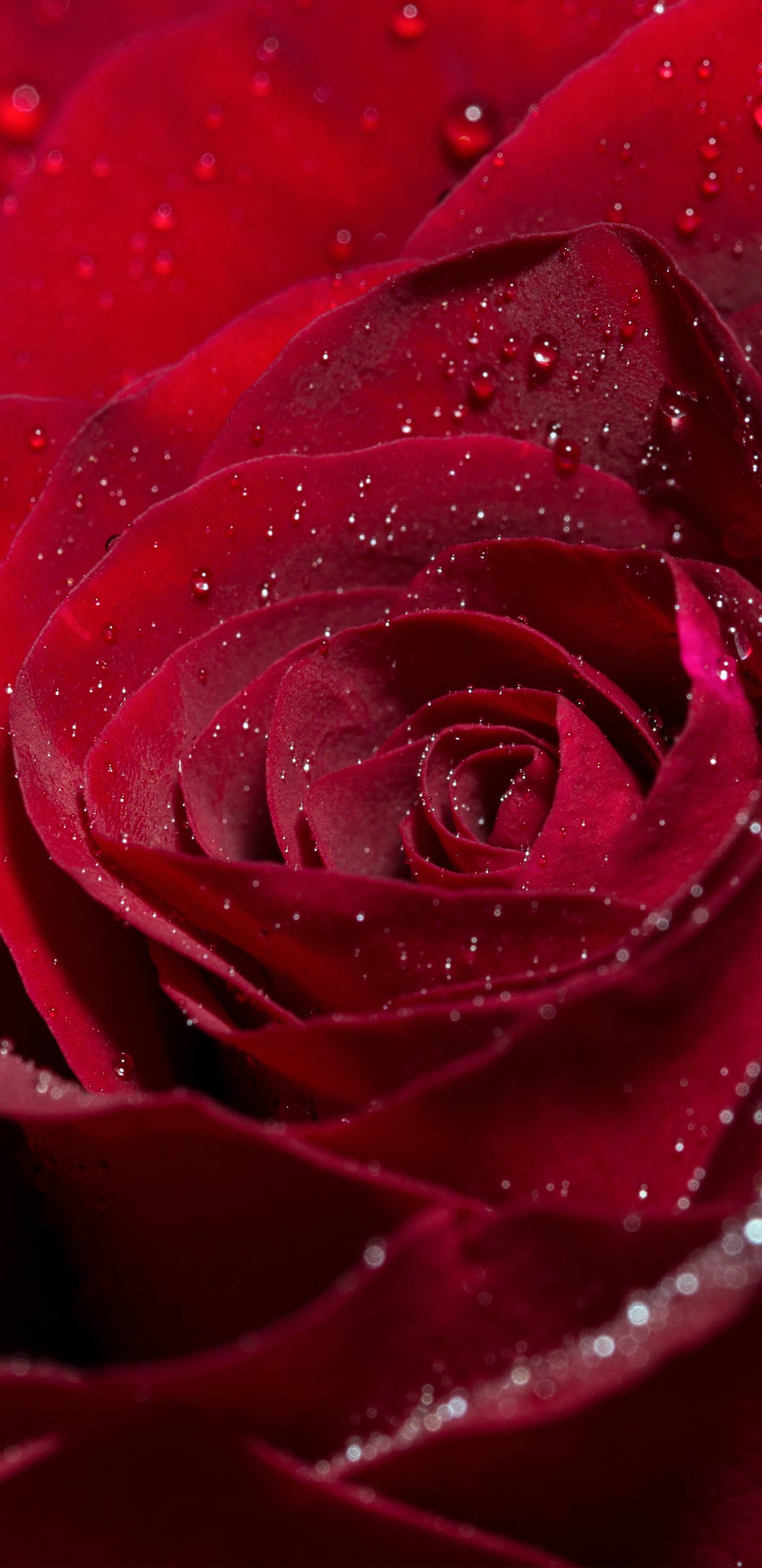 Samsung Galaxy Note 8 Wallpapers Top Free Samsung Galaxy Note 8