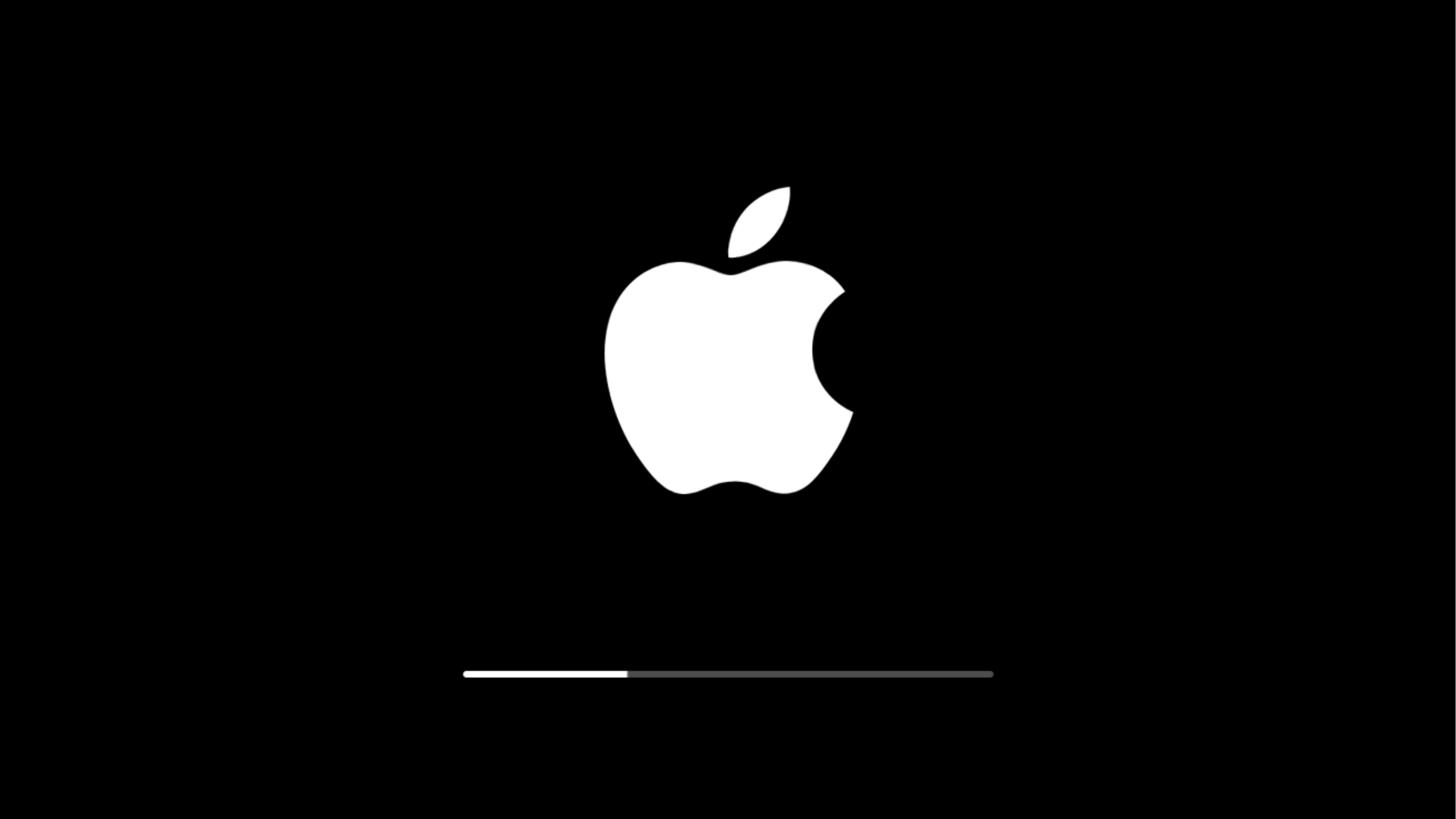 iPhone 11 Apple Logo 8K Wallpaper 4775