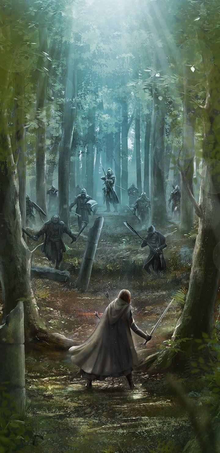 720x1480 Boromir Wallpaper