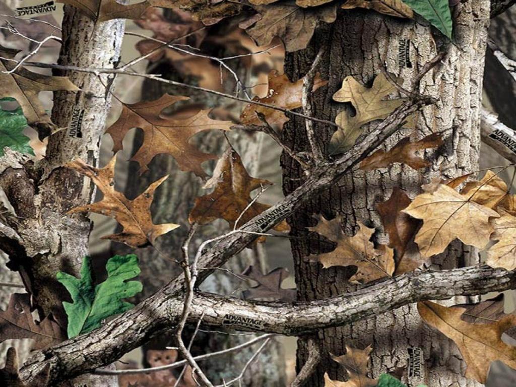1024x768 Camo Desktop Wallpaper 1024x768 (178.5 KB)