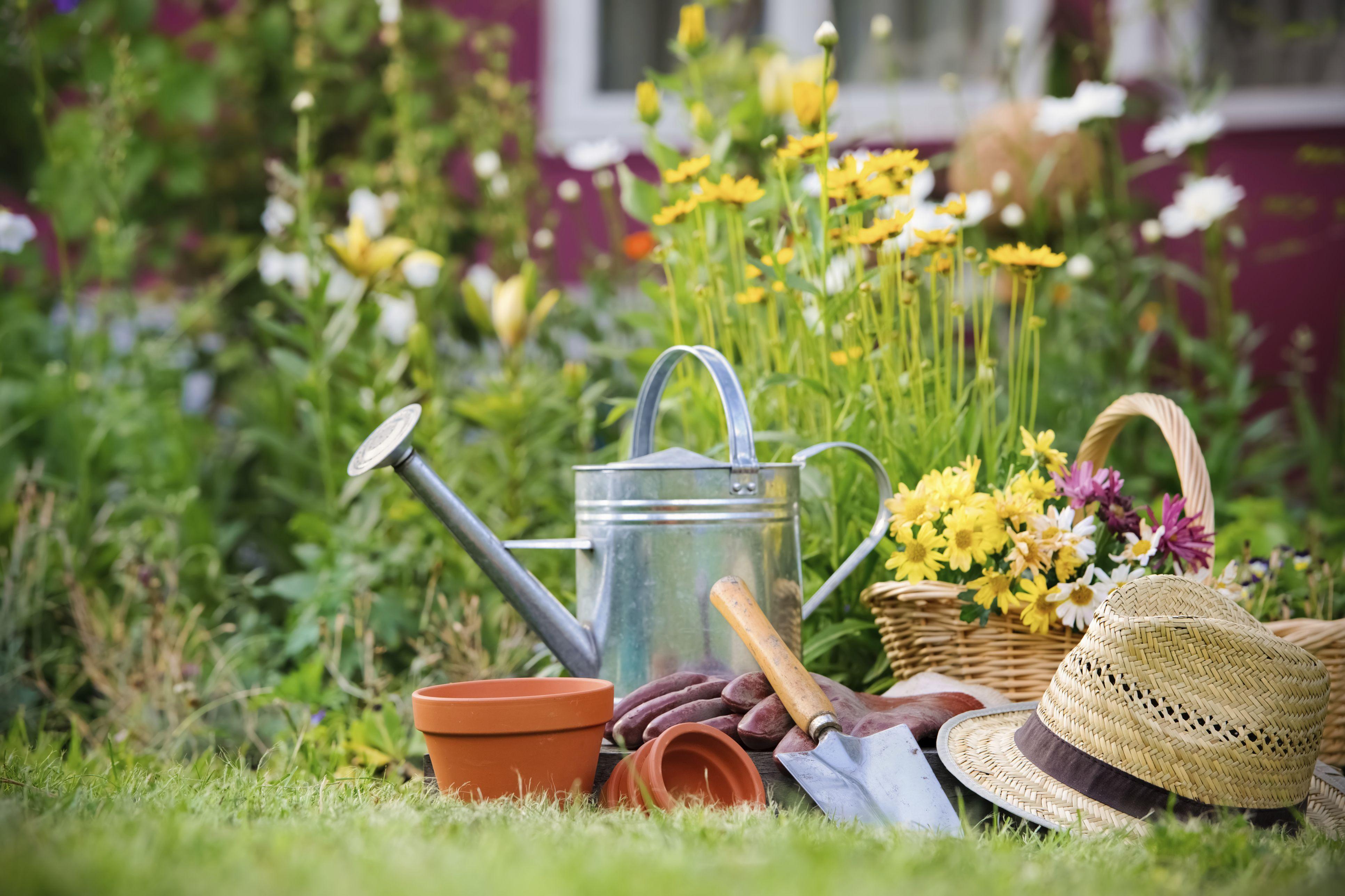 3867x2578 Gardening Wallpaper