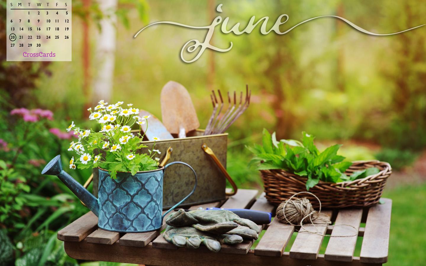 1440x900 June 2021 Desktop Calendar- Free June Wallpaper