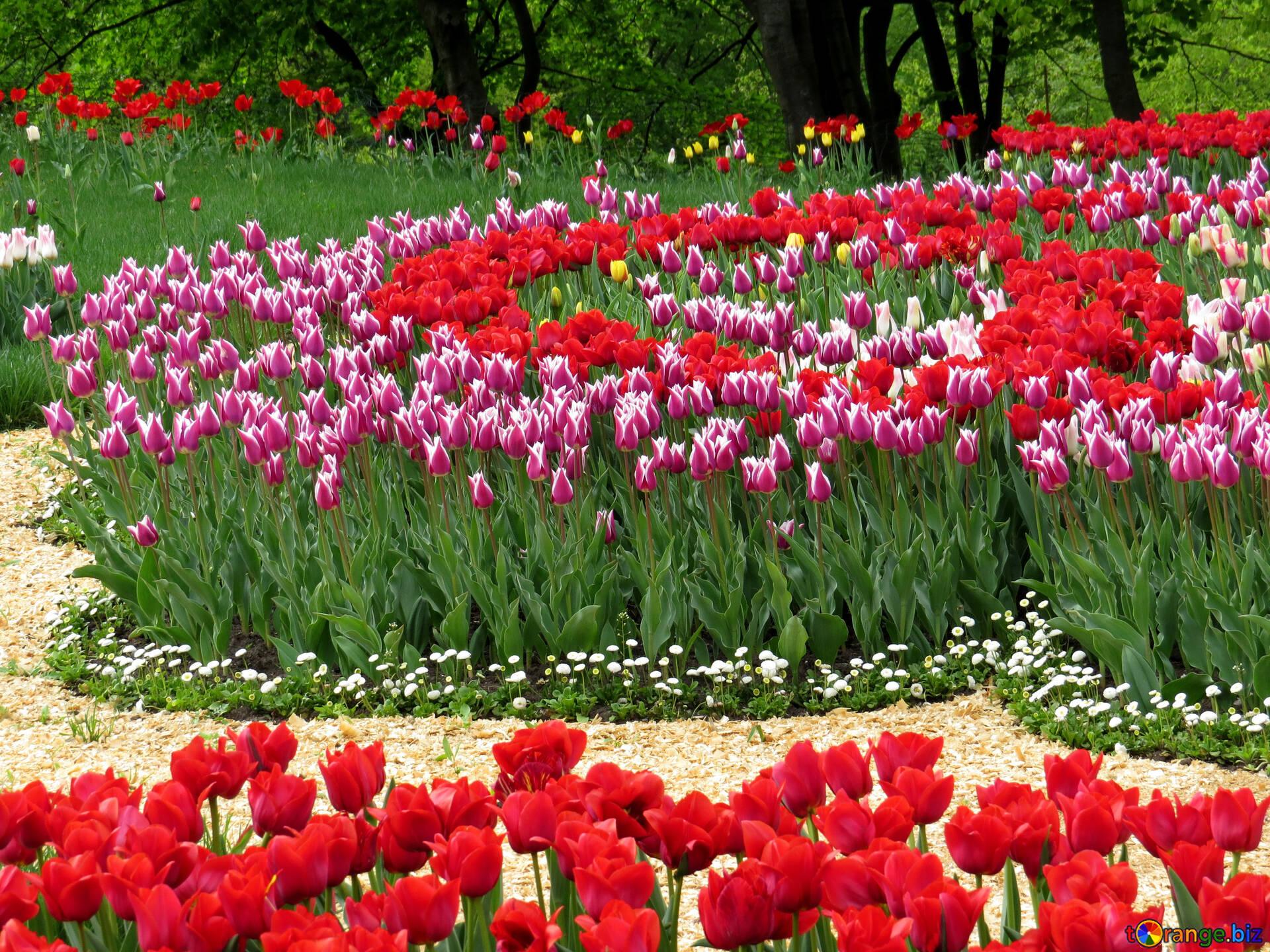 1920x1440 Botanical Garden Image Gardener's Work Image Park № 31234. Torange.biz Free Pics On Cc By License