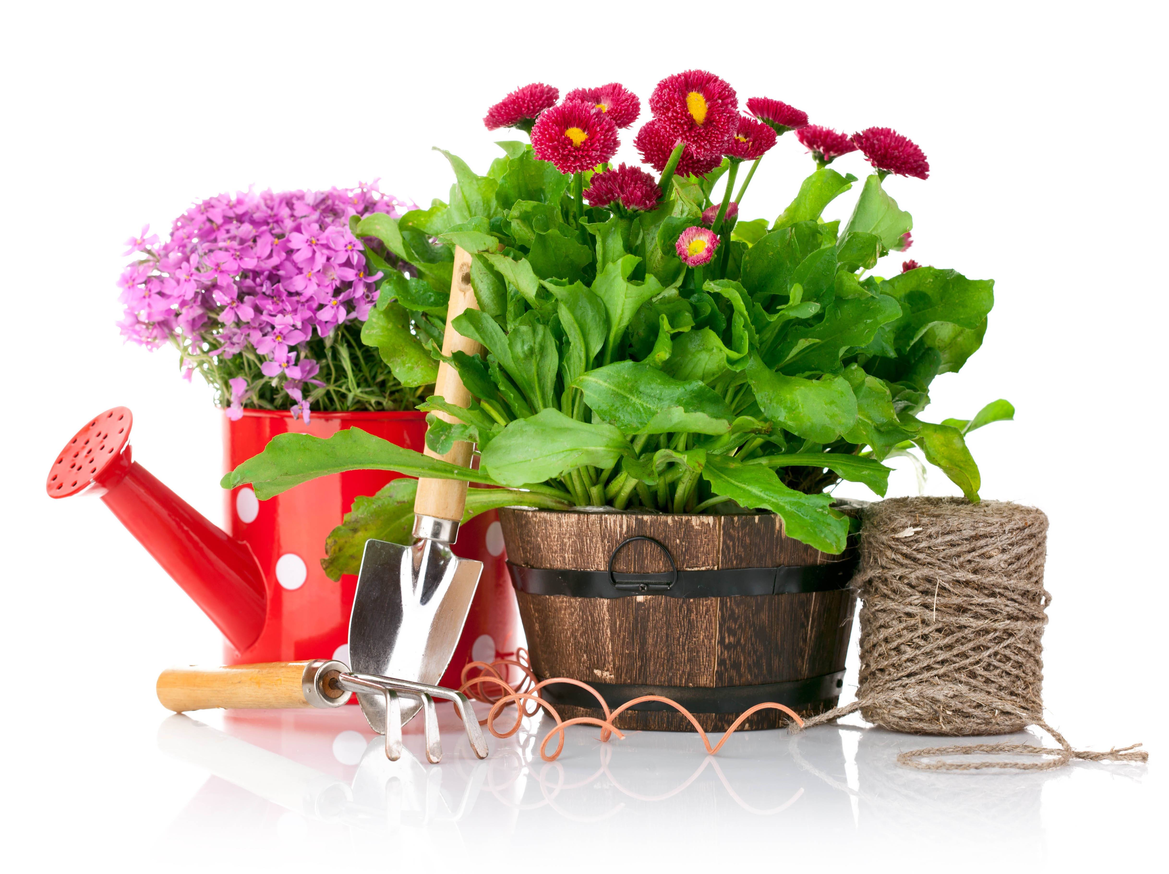4870x3644 gardening, items, sewing Wallpaper, HD Other 4K Wallpaper, Image, Photo and Background