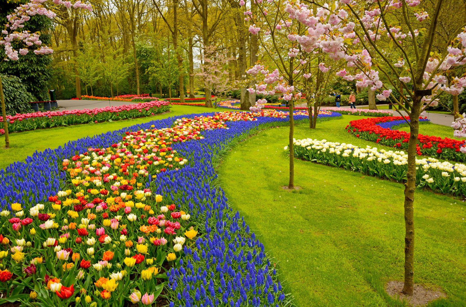 1600x1054 gardening. art and science