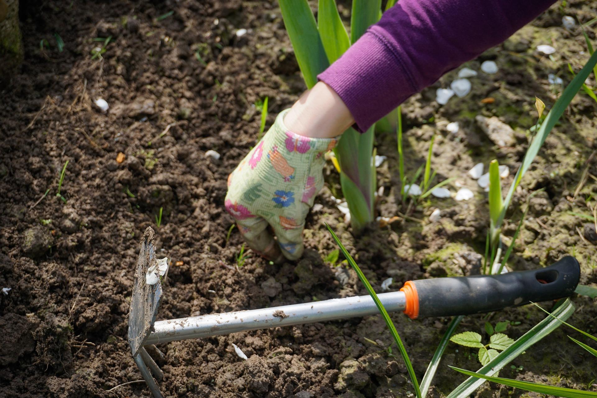 1920x1280 Gardening Tips by Month. The Old Farmer's Almanac