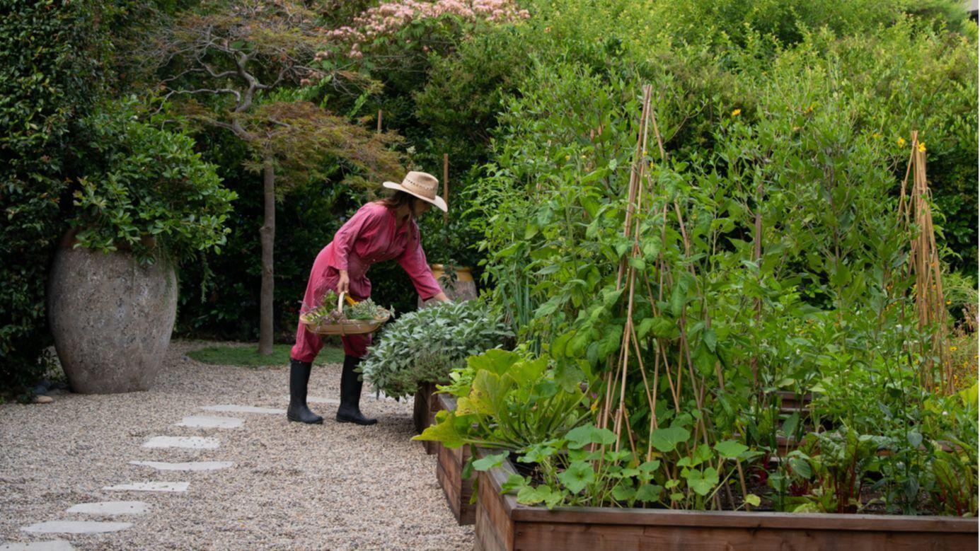 1385x779 This gorgeous new book is the gardening inspiration you need now Angeles Times