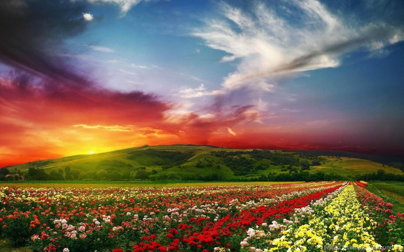 1680x1050 Gardening HD Wallpaper, Gardening Image Free, New Wallpaper Desktop Background