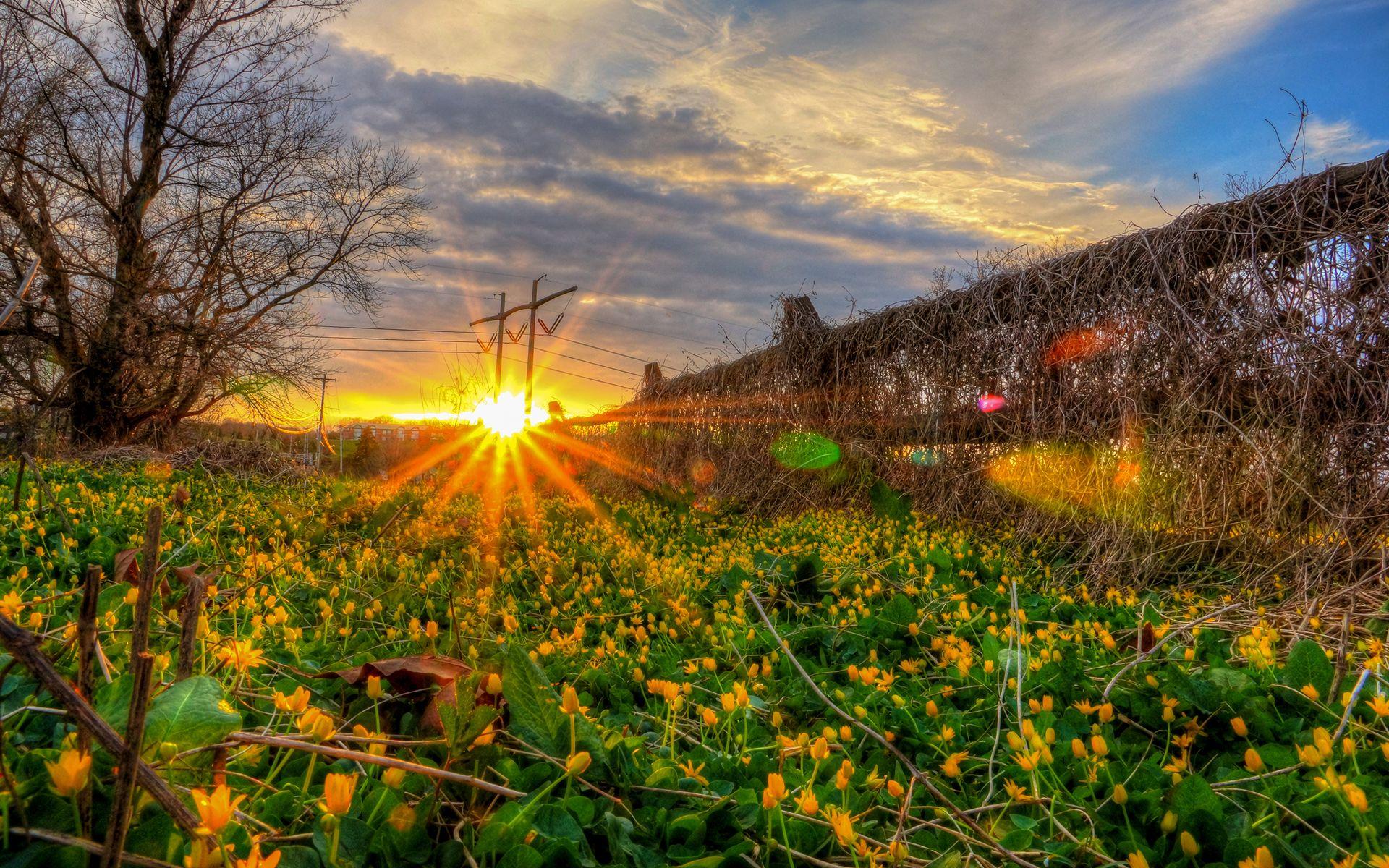 1920x1200 Wallpaper. Gardening photography, Garden landscape design, Beautiful nature