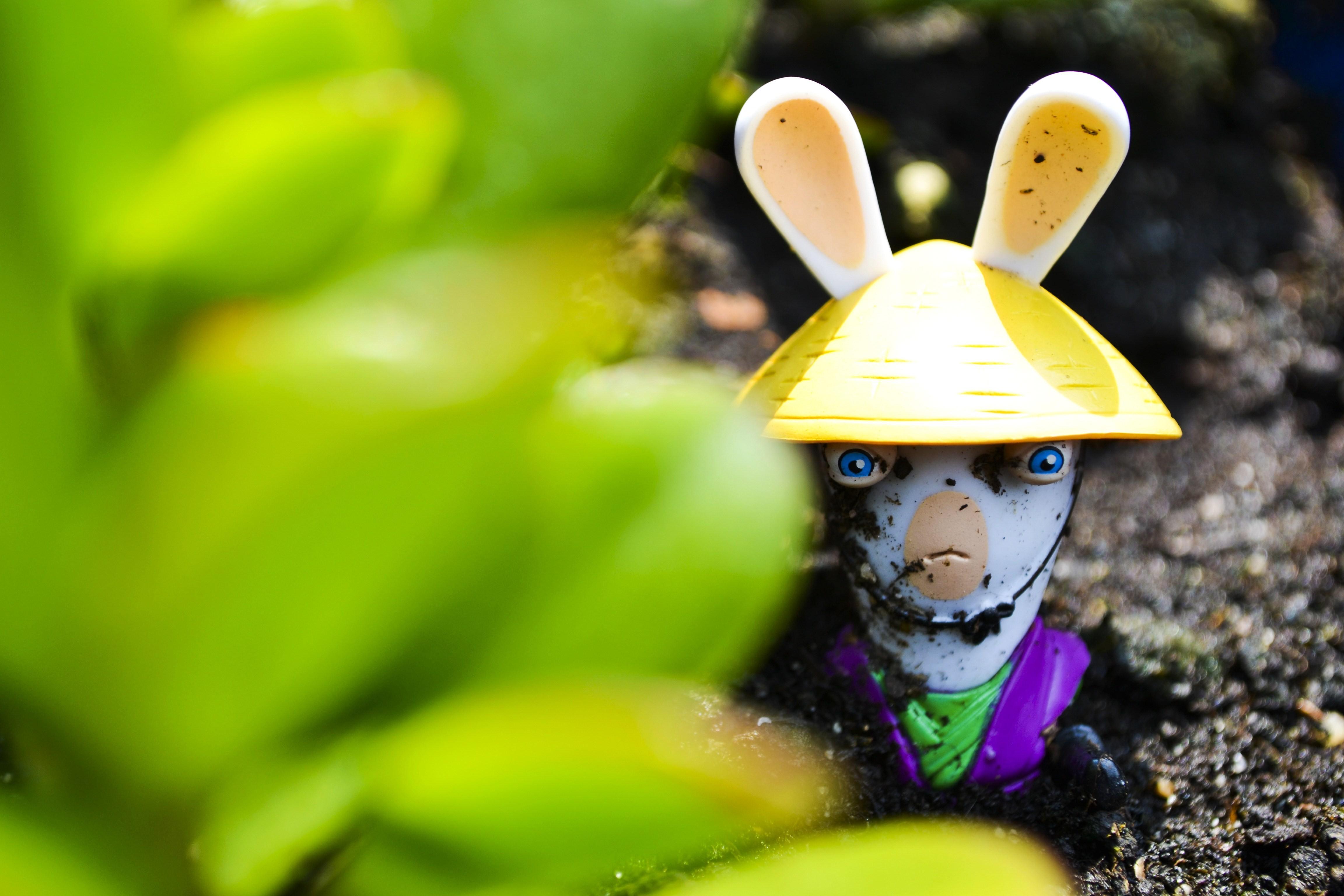 4608x3072 bunnies, Green, Yellow, Purple, Harakiri, Raving, Rabbids Wallpaper HD / Desktop and Mobile Background