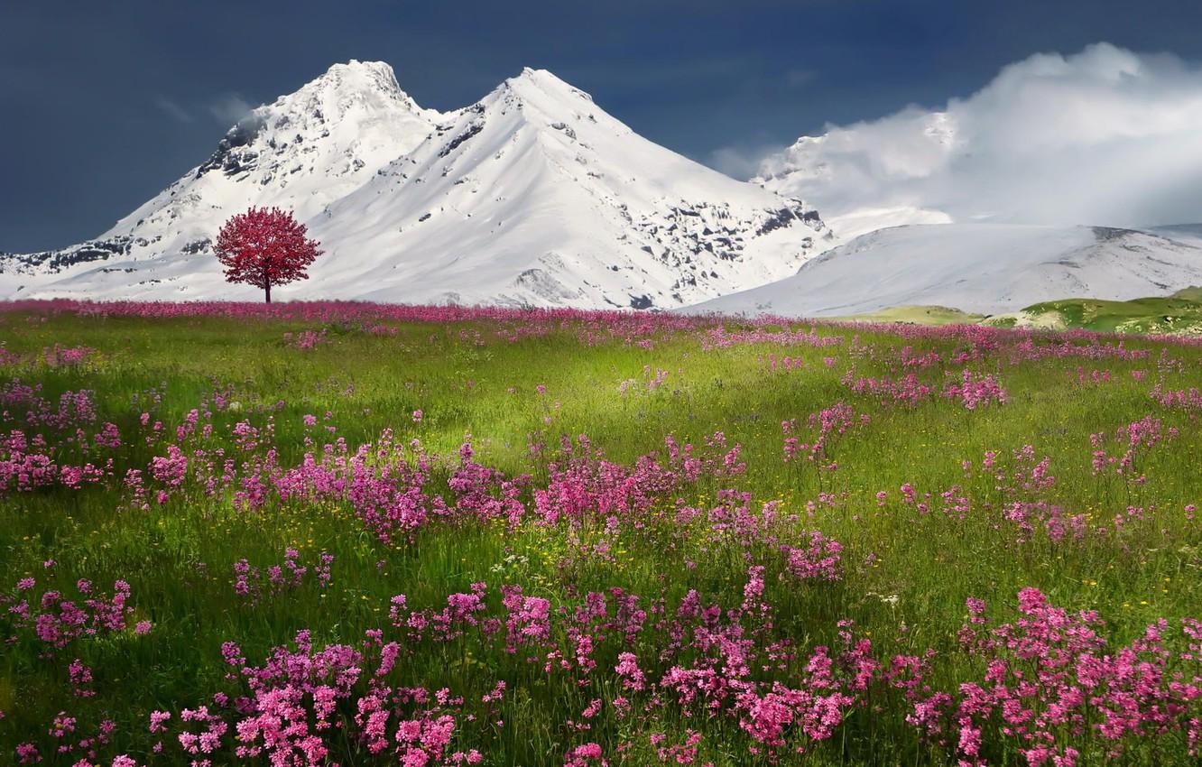 1332x850 Wallpaper winter, snow, mountains, nature, spring image for desktop, section природа