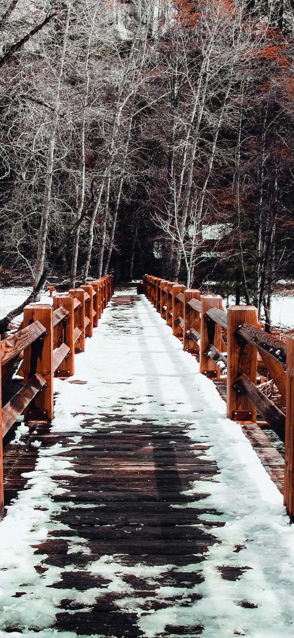 998x2160 bridge snow winter trees spring wallpaper iPhone Pro Ma Wallpaper. Spring wallpaper, Winter trees, Bridge wallpaper