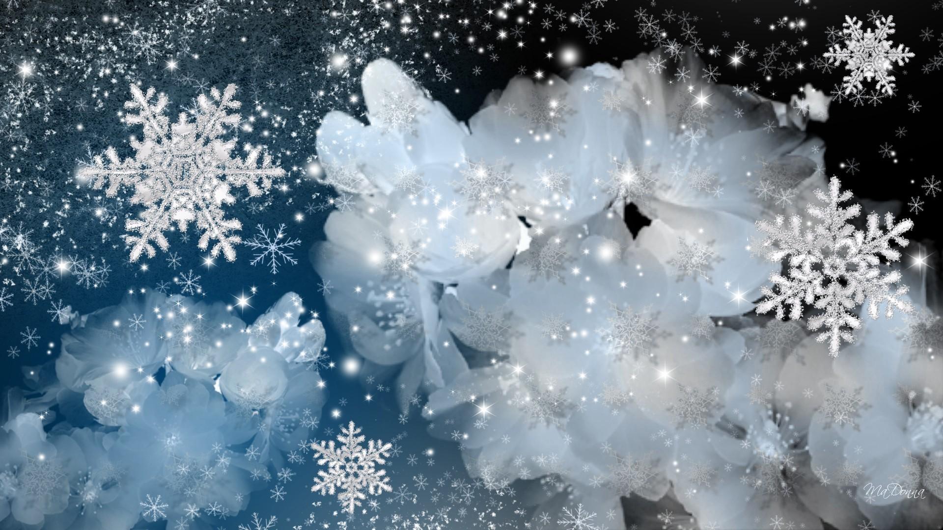1920x1080 Flowers