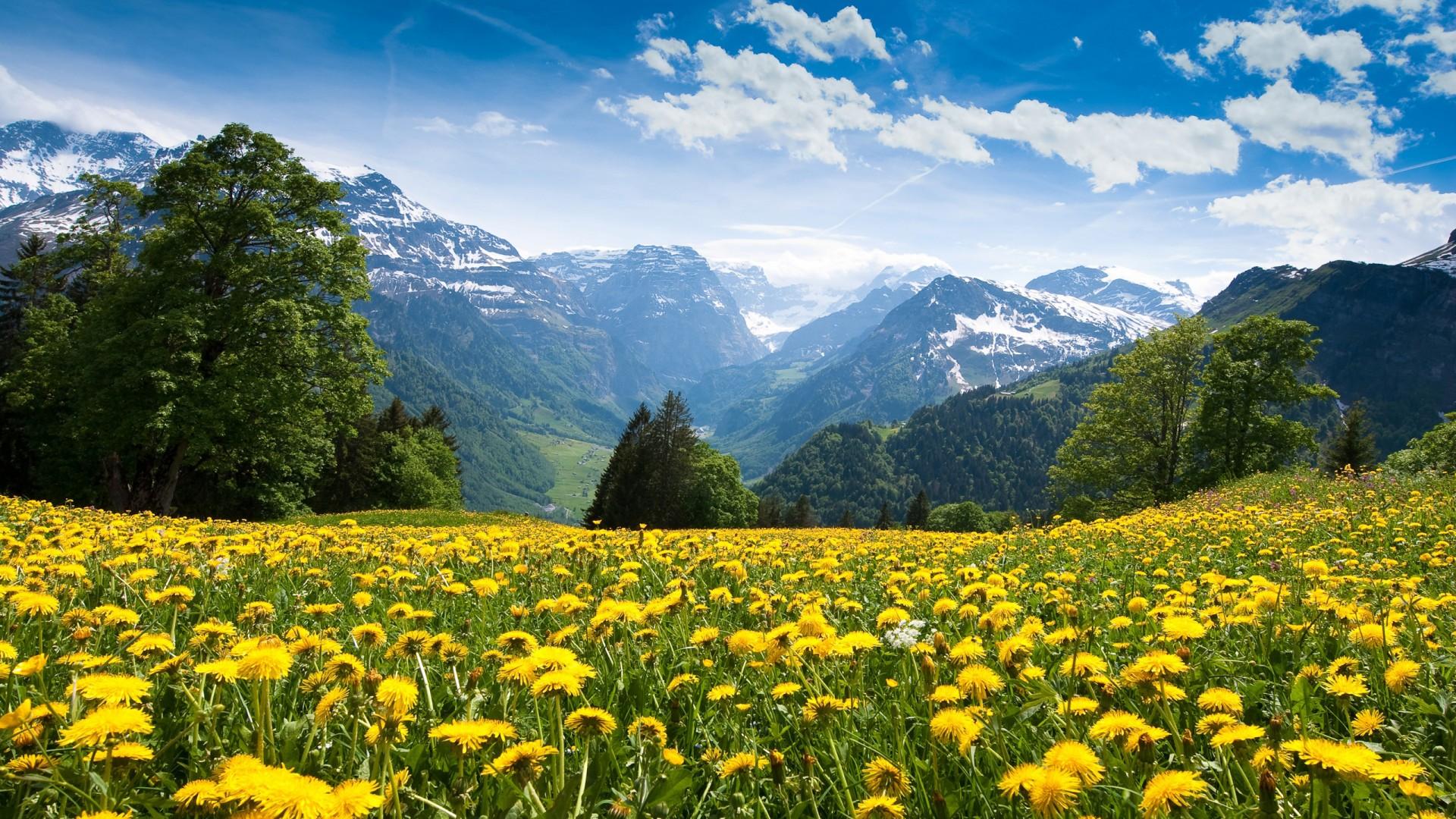 1920x1080 Winter Turns Into Spring