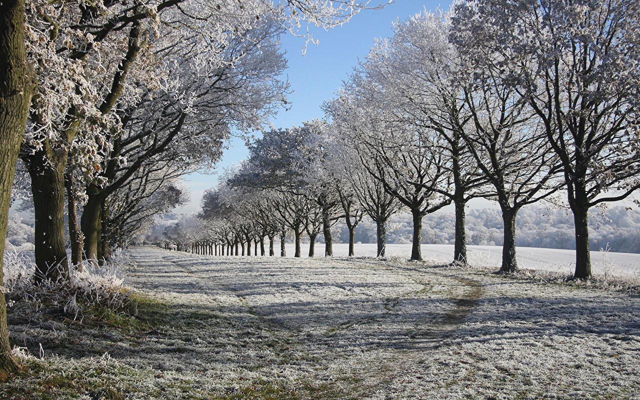 1280x800 After Winter There Always Comes Spring Wallpaper & Background Download