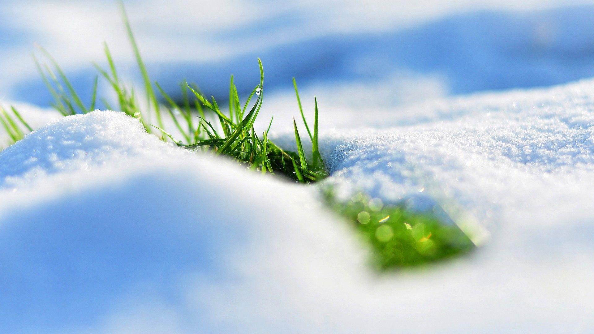 1920x1080 Unsorted. Spring wallpaper, Spring picture, Spring image