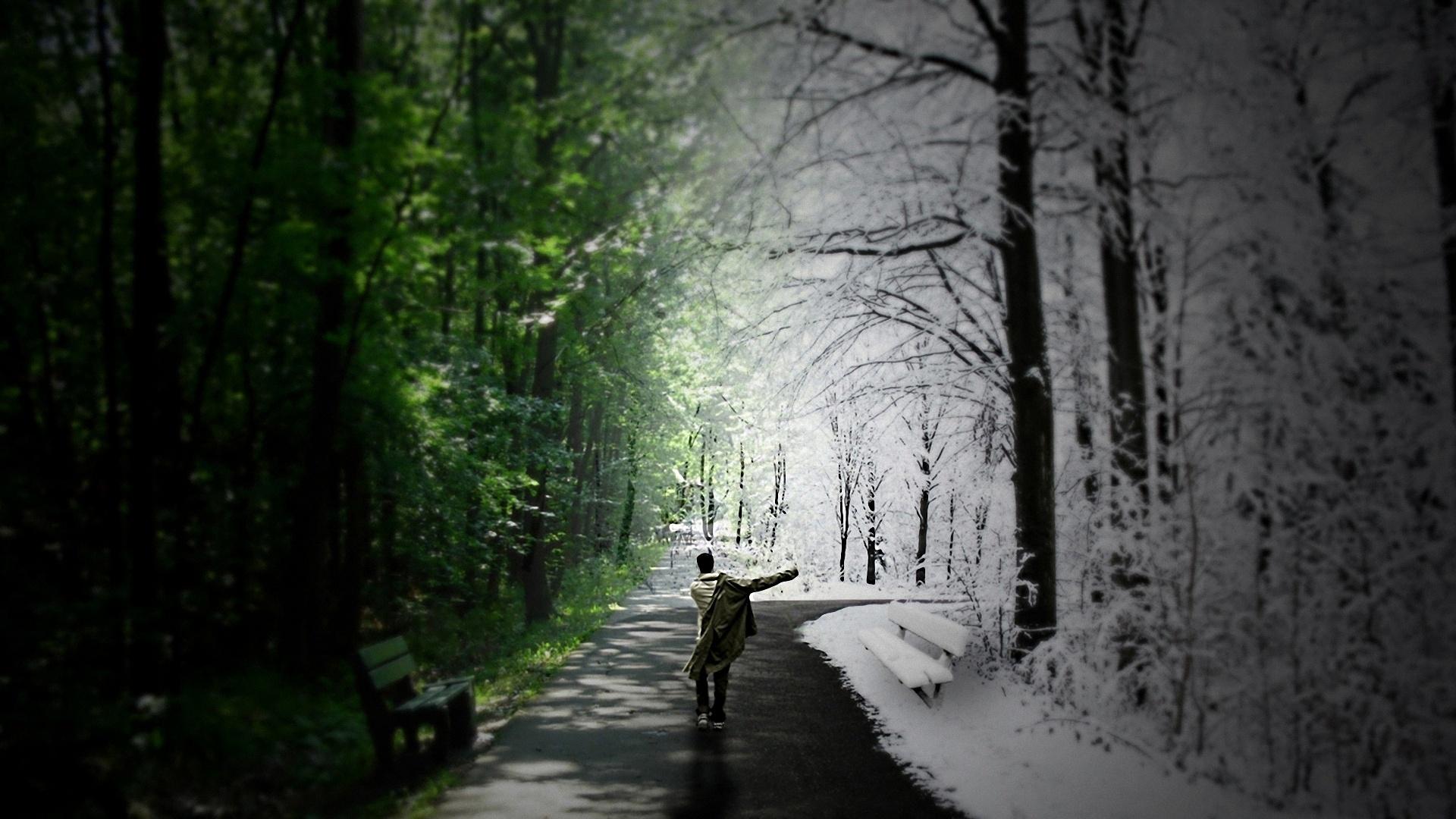 1920x1080 Winter Spring Season Path Psychedelic CGi Digital Art Forest Wallpaper:1920x1080